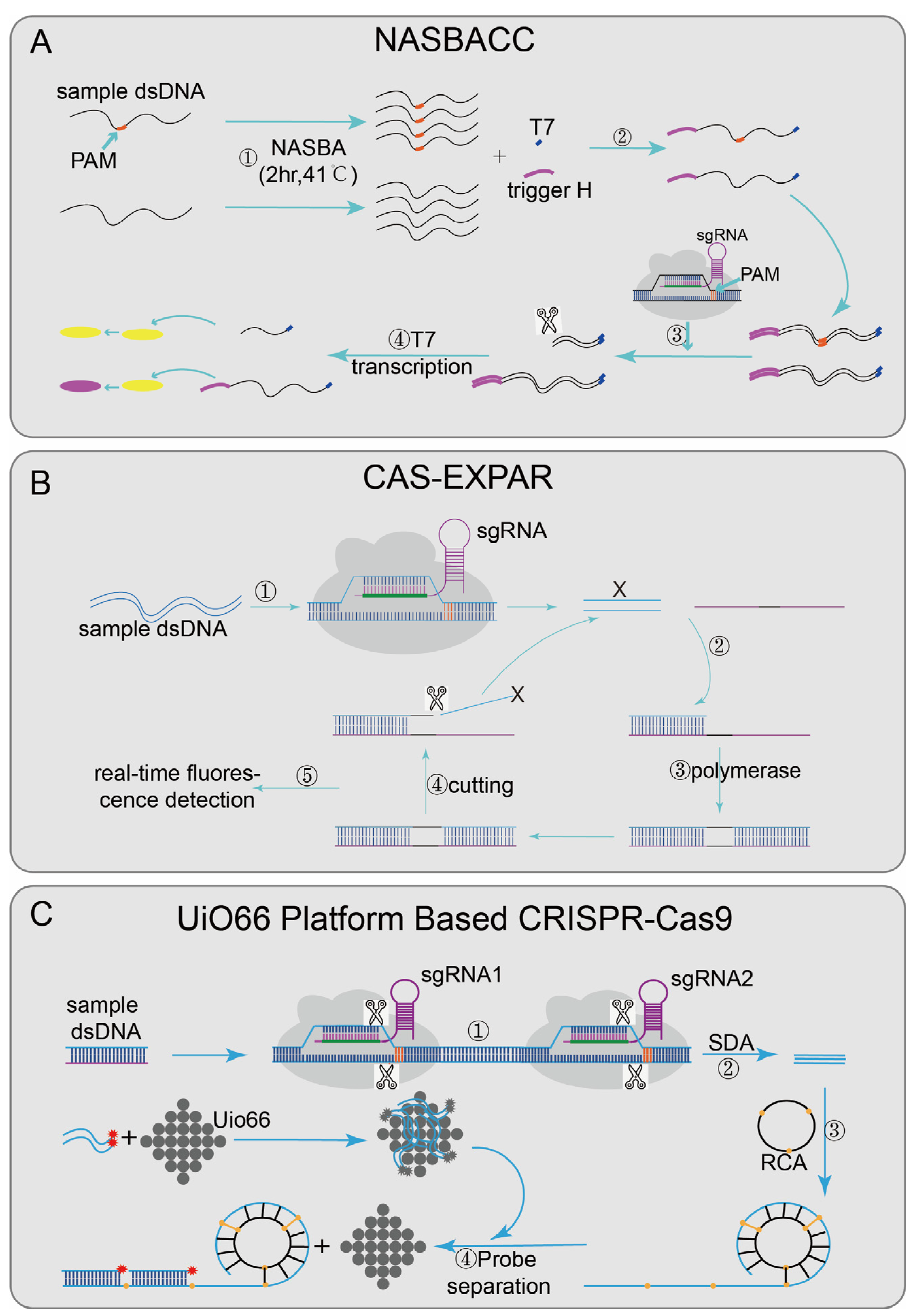 Diagnostics 12 02455 g002 Diagnostics 12 02455 g002