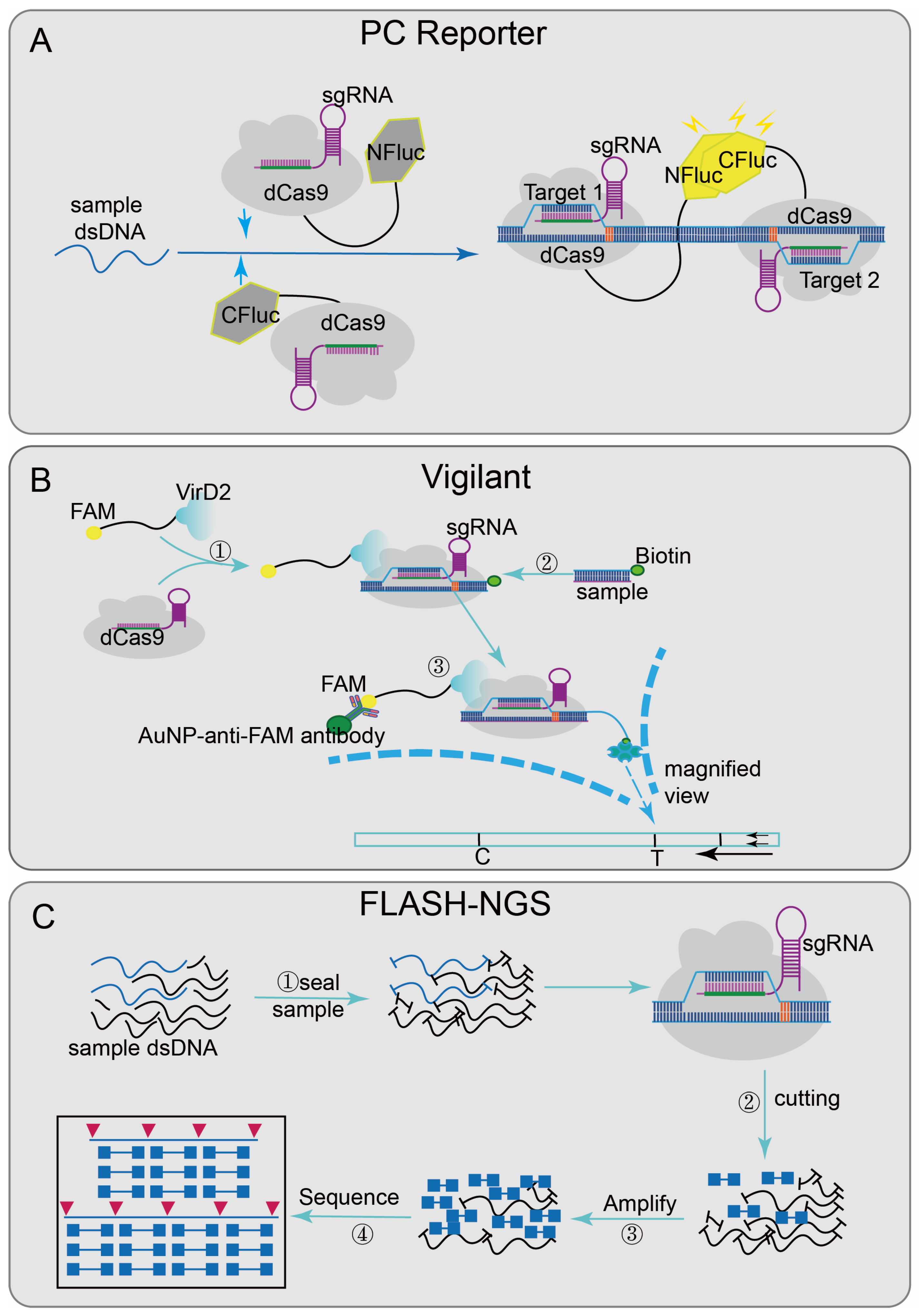 Diagnostics 12 02455 g003 Diagnostics 12 02455 g003