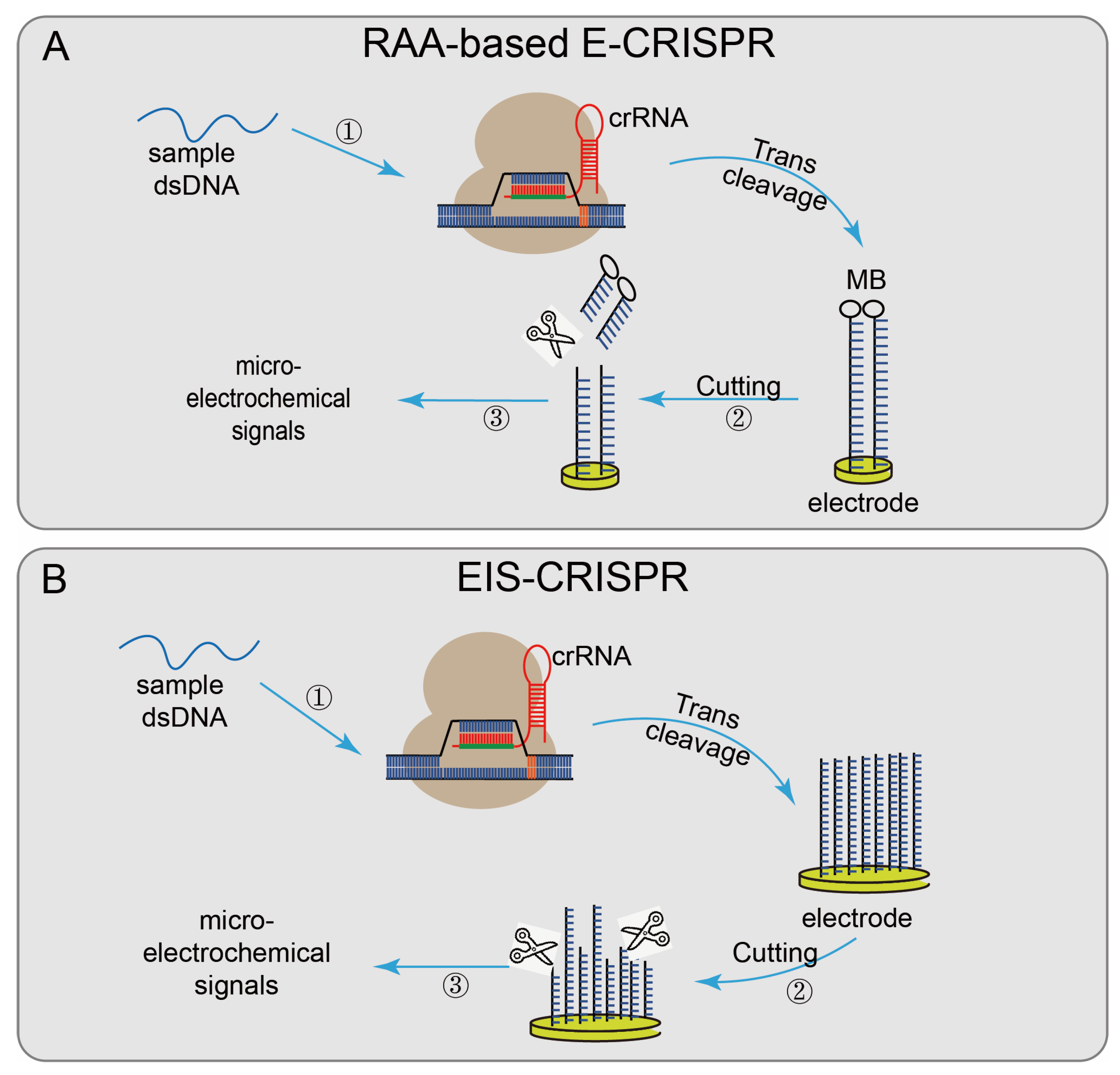 Diagnostics 12 02455 g004 Diagnostics 12 02455 g004