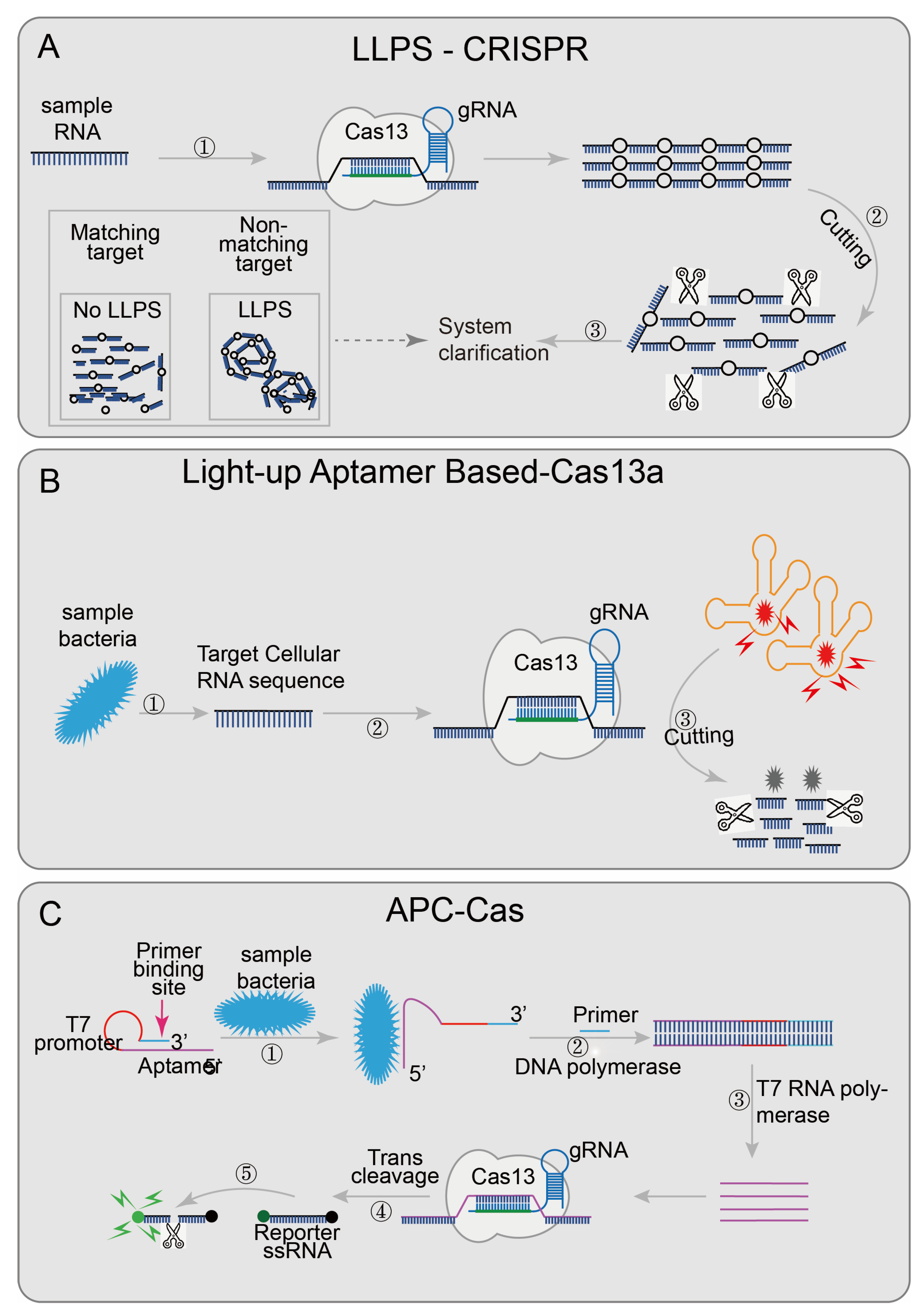 Diagnostics 12 02455 g005 Diagnostics 12 02455 g005