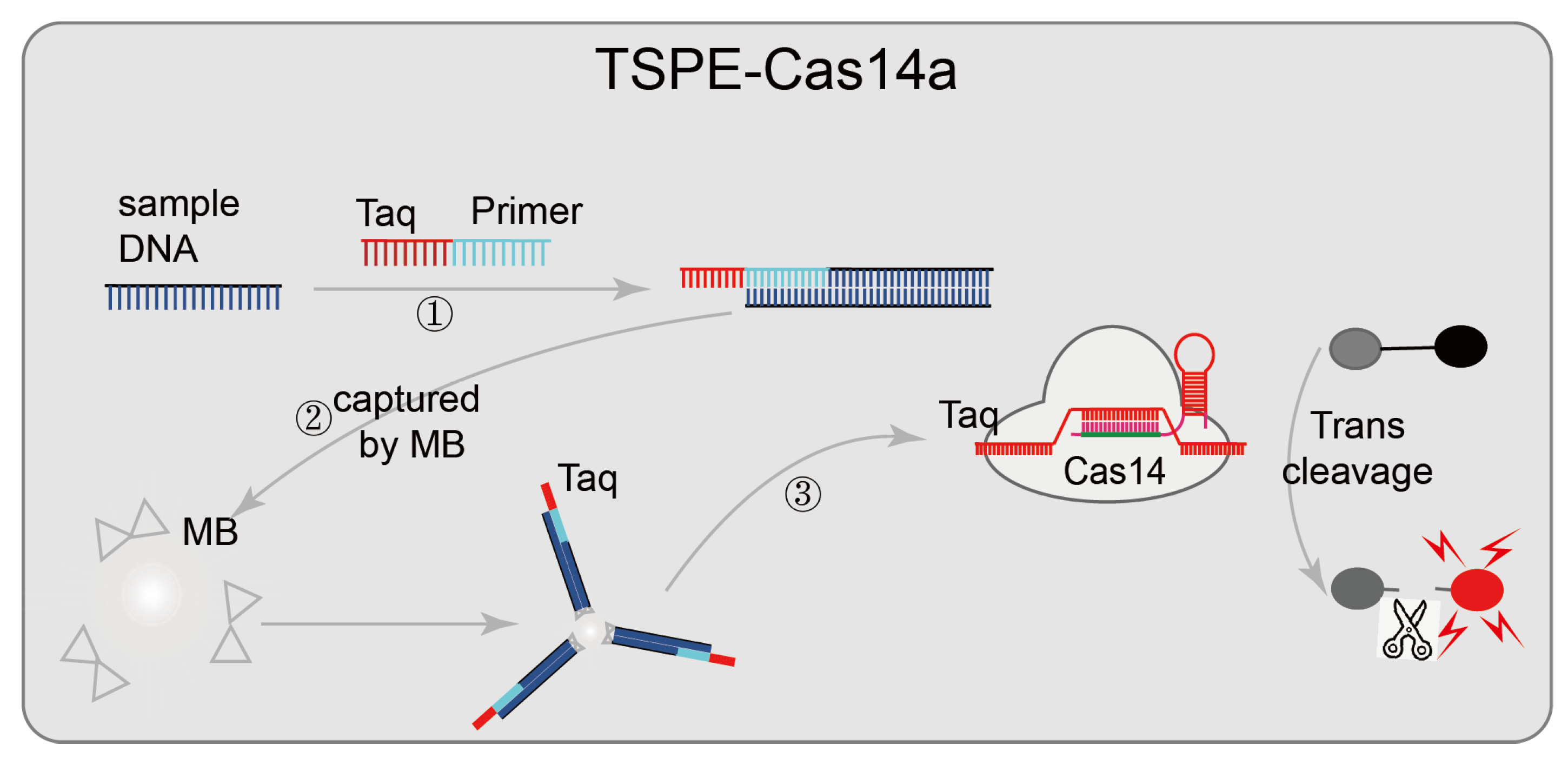 Diagnostics 12 02455 g006 Diagnostics 12 02455 g006