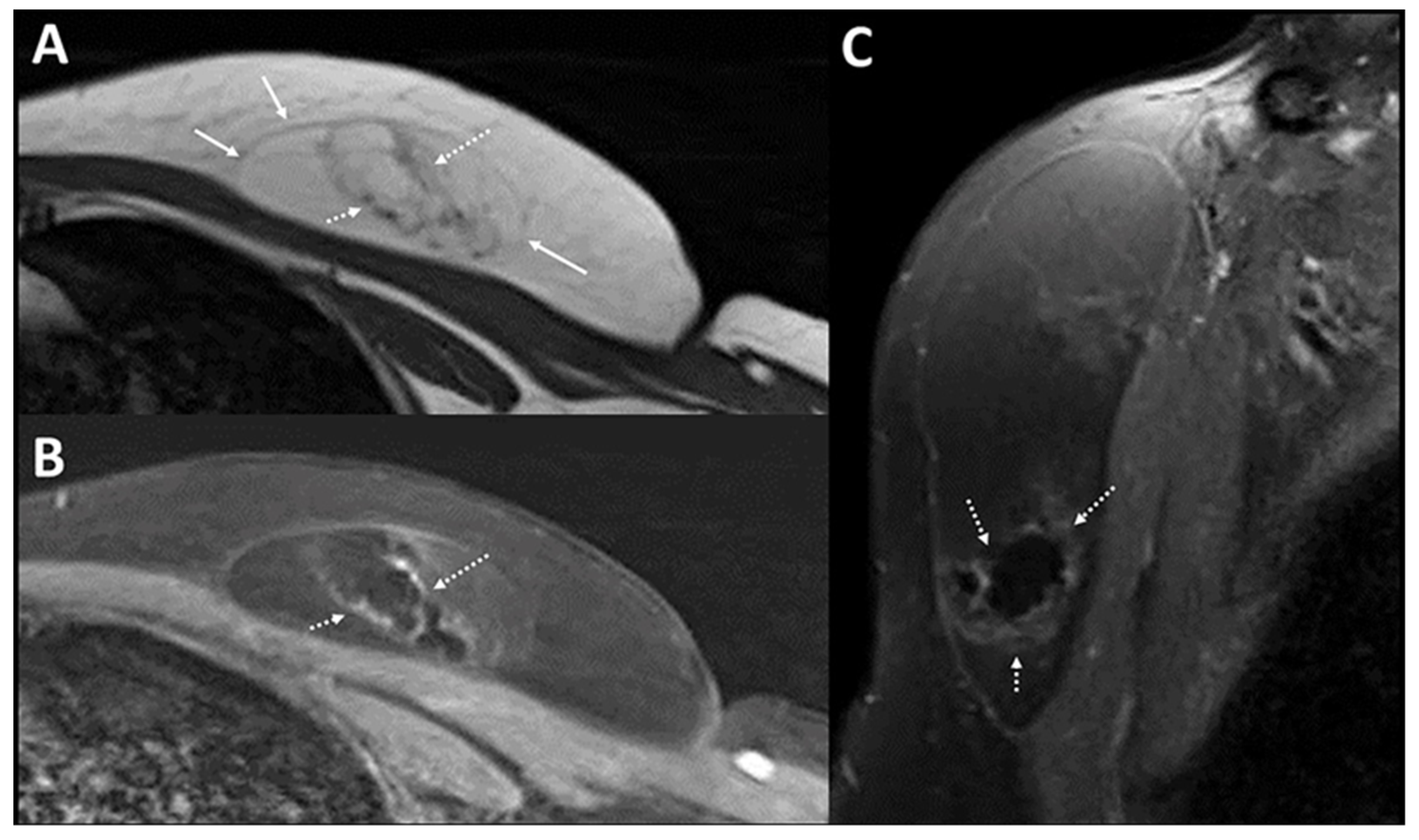 Diagnostics 12 02456 g002 Diagnostics 12 02456 g002