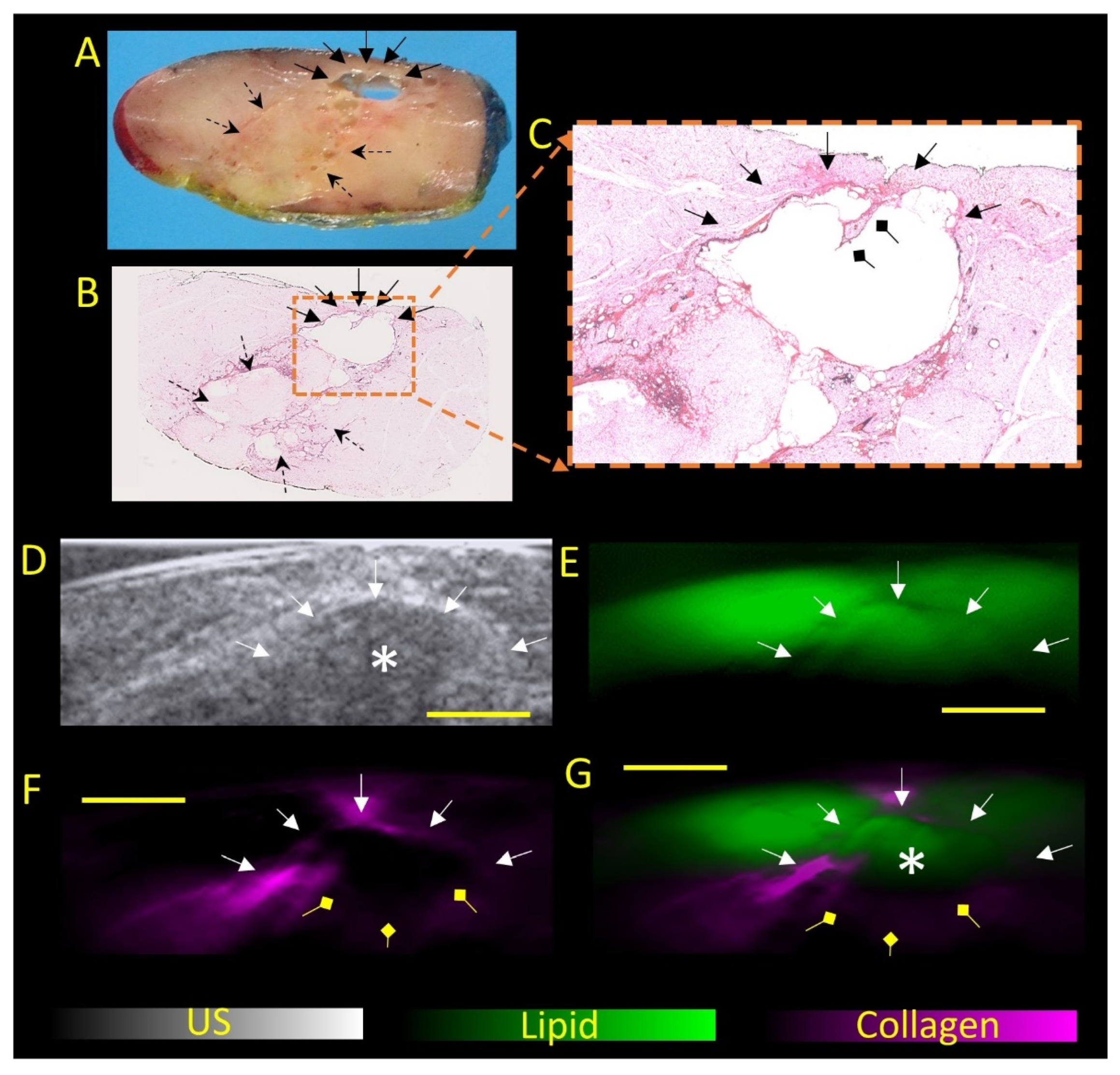 Diagnostics 12 02456 g003 Diagnostics 12 02456 g003