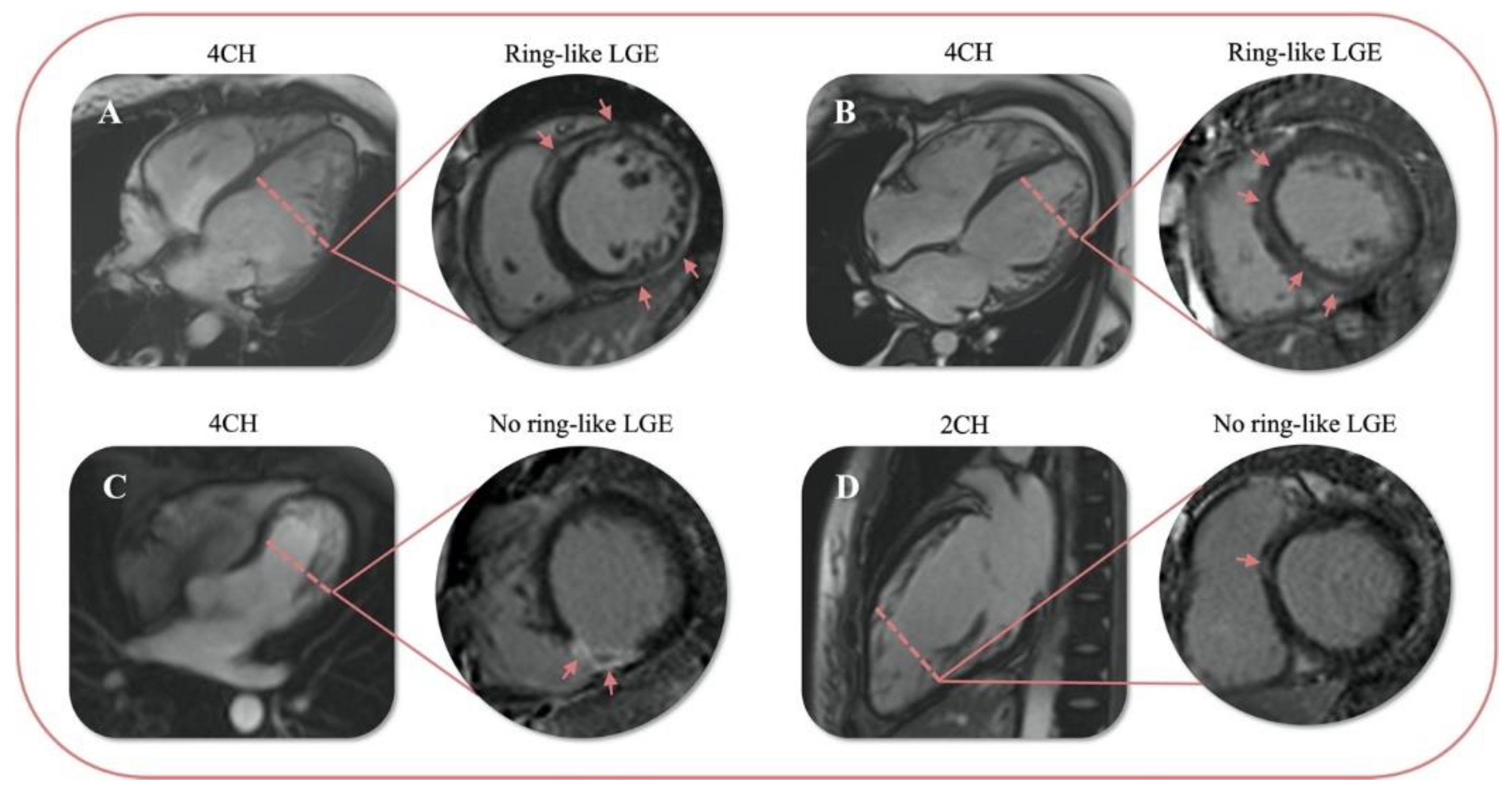 Diagnostics 12 02457 g004