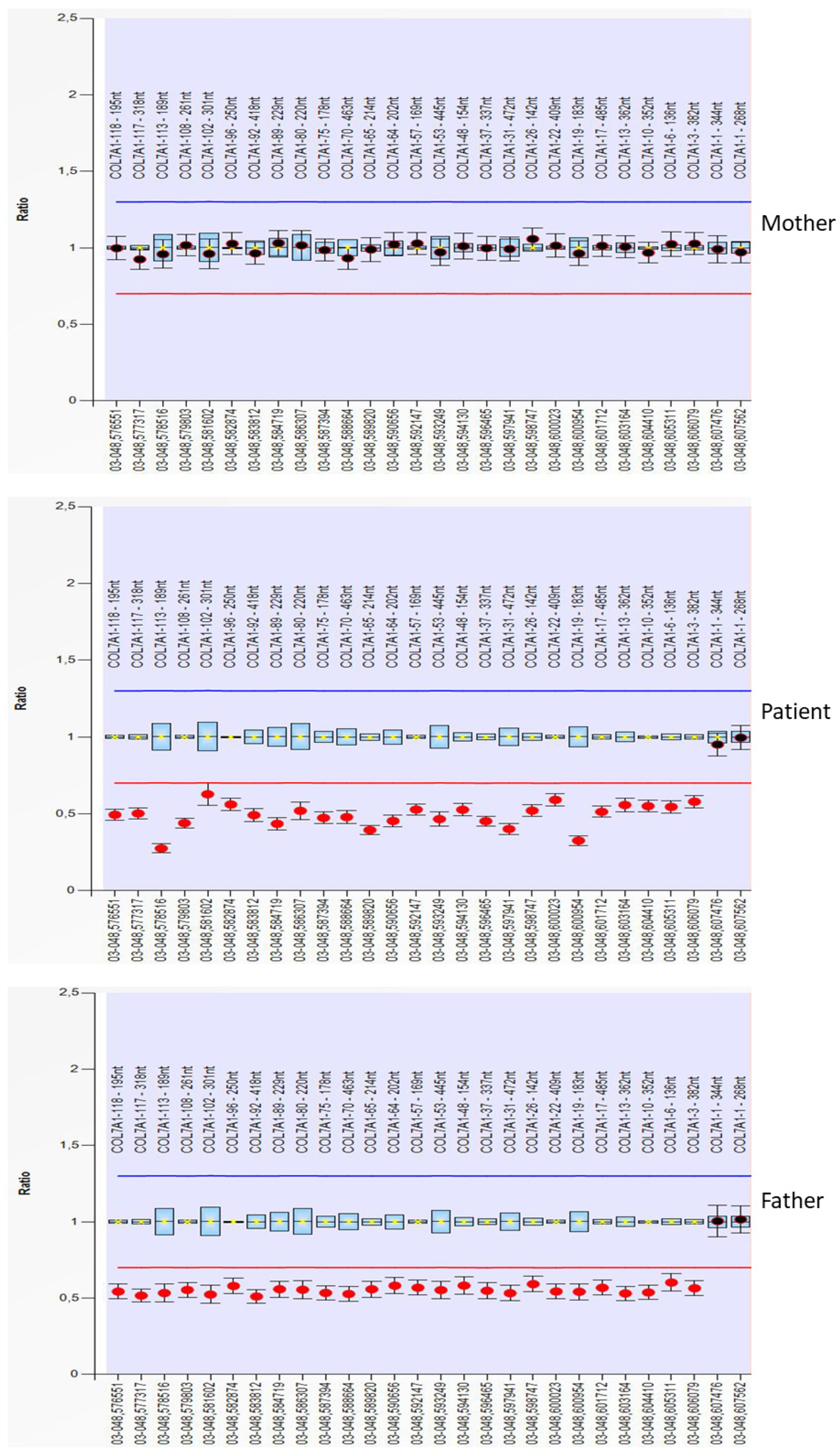 Diagnostics 12 02460 g003