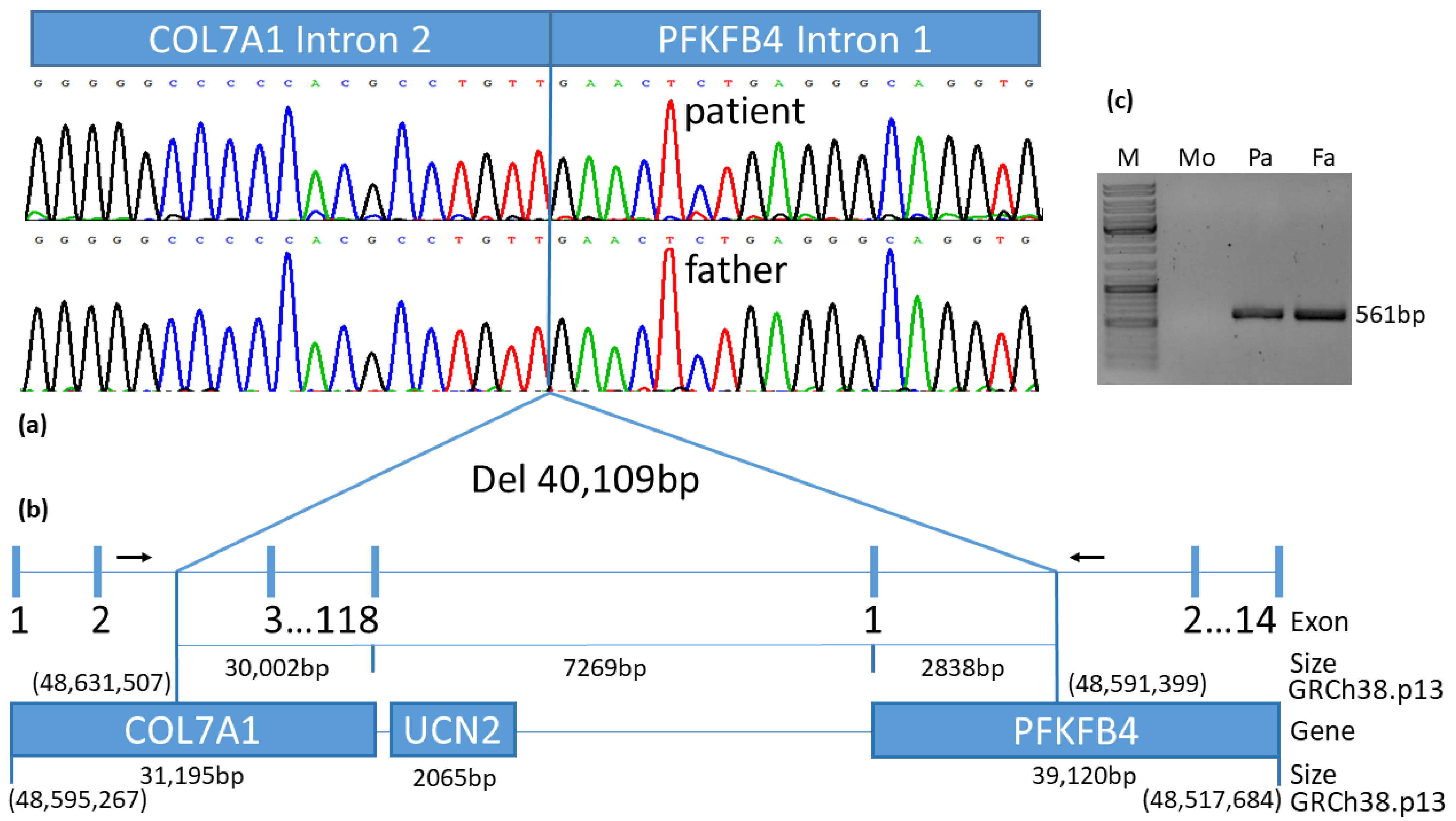 Diagnostics 12 02460 g004