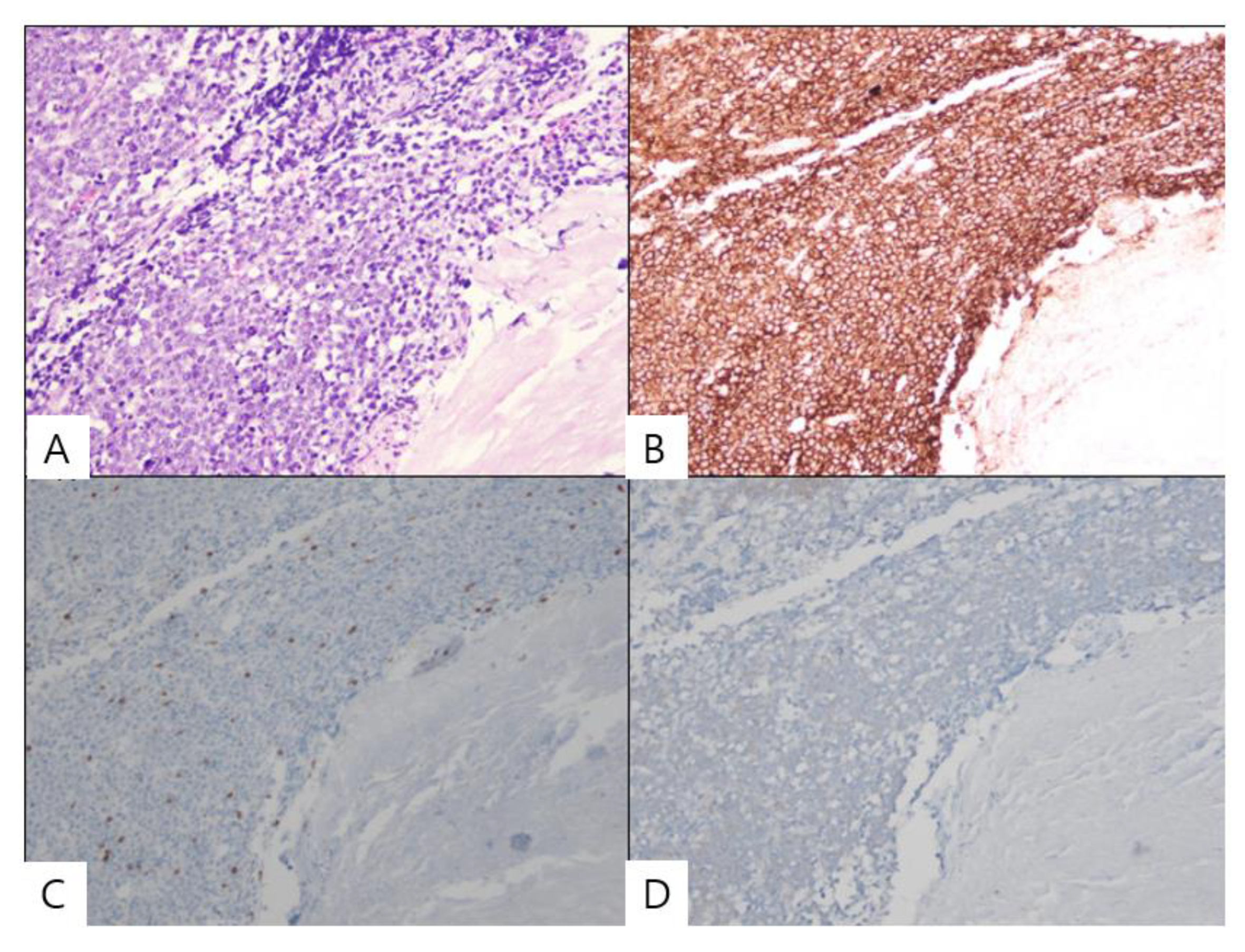 Diagnostics 12 02462 g002 Diagnostics 12 02462 g002