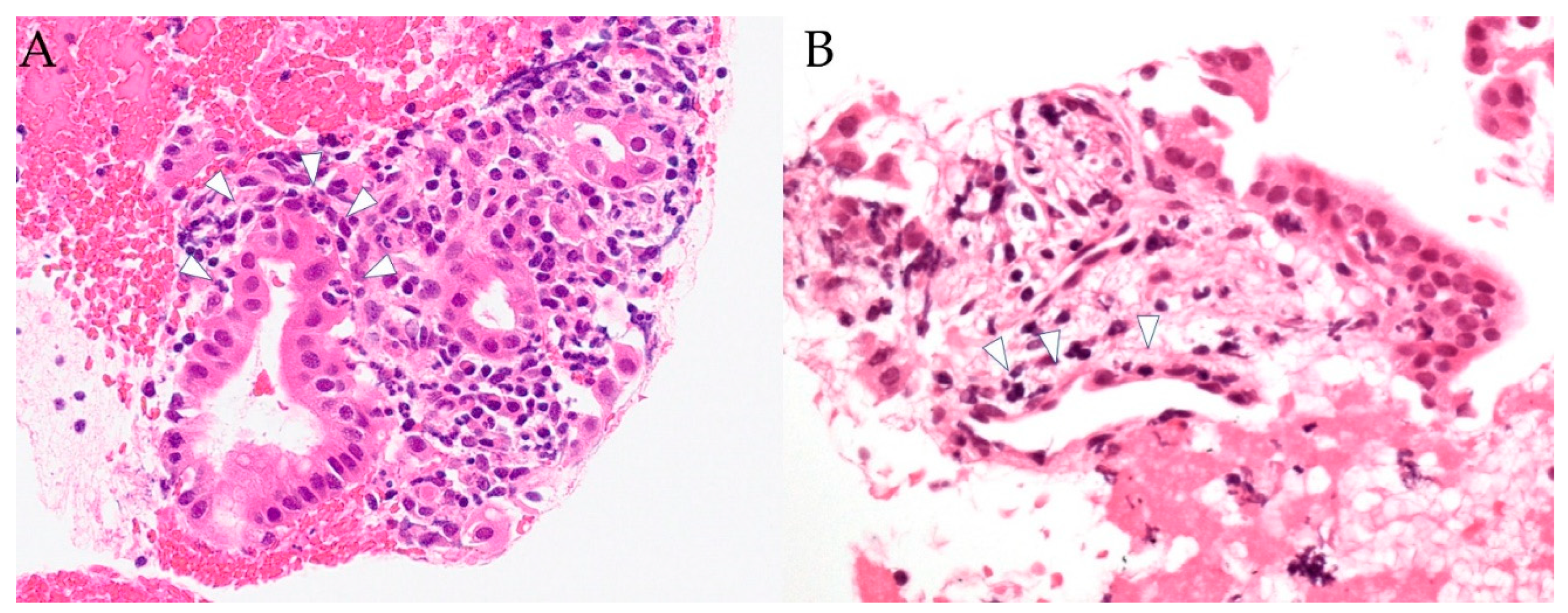 Diagnostics 12 02464 g002