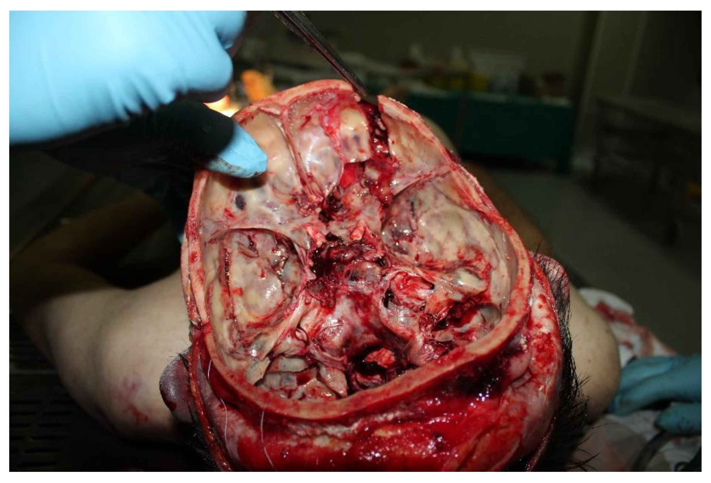 Diagnostics 12 02465 g003