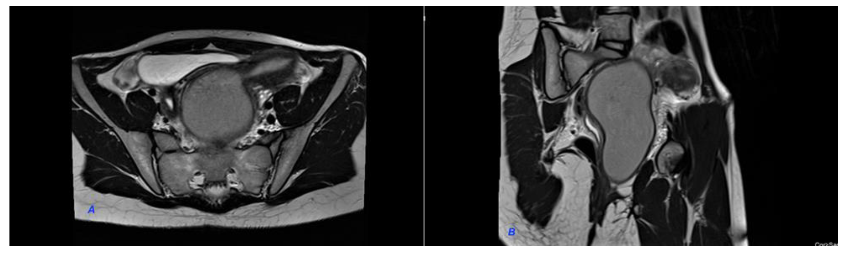Diagnostics 12 02466 g002