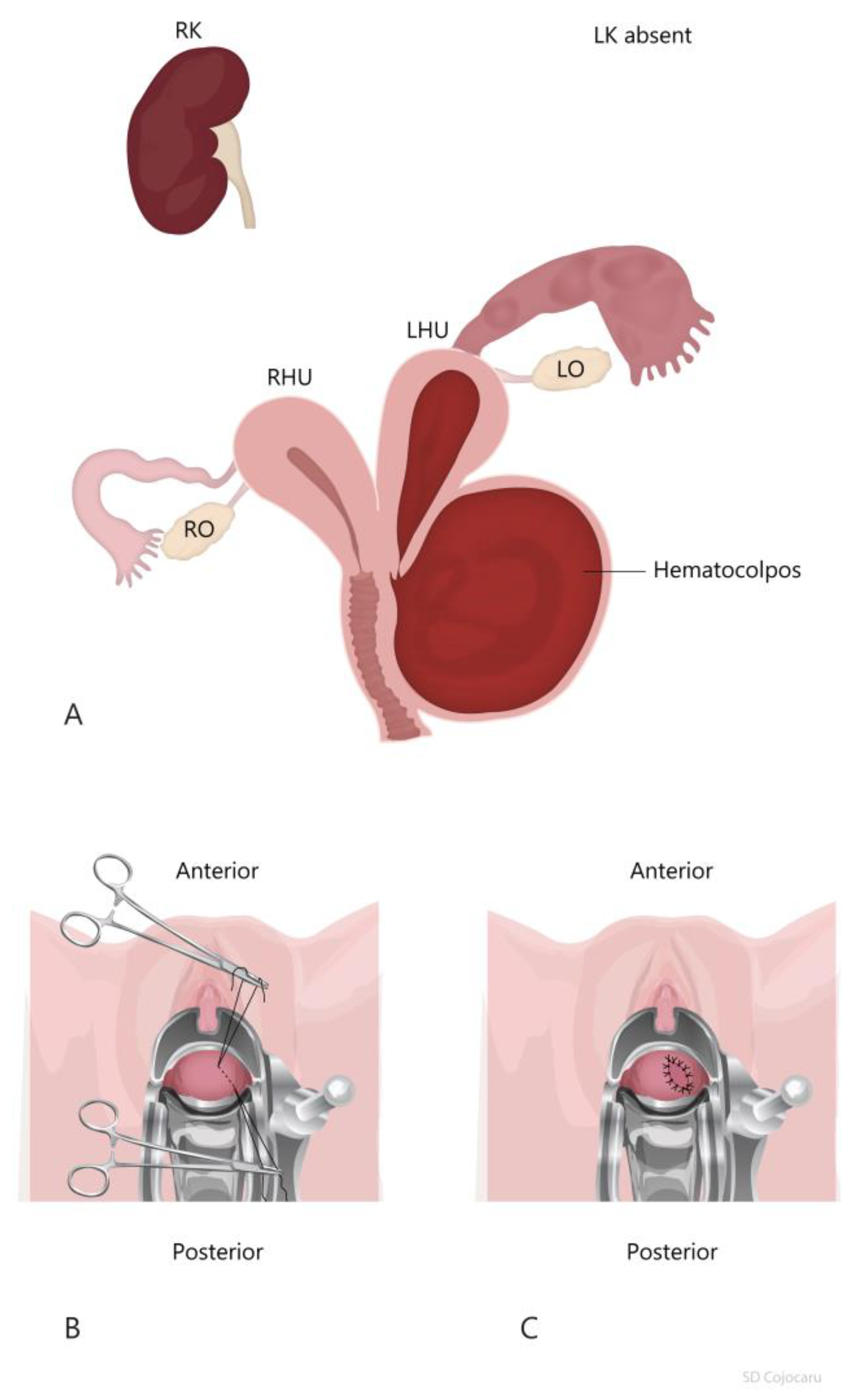 Diagnostics 12 02466 g003