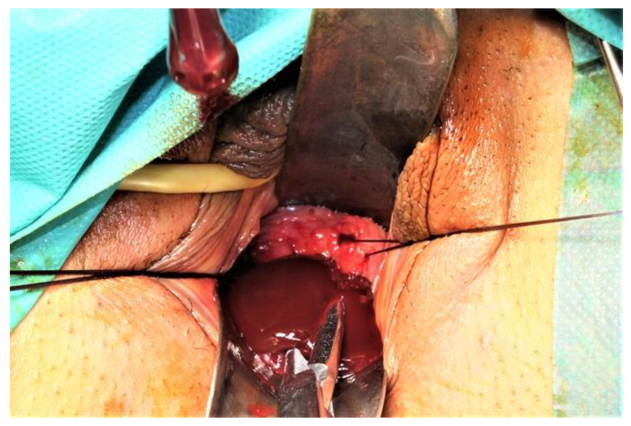 Diagnostics 12 02466 g004