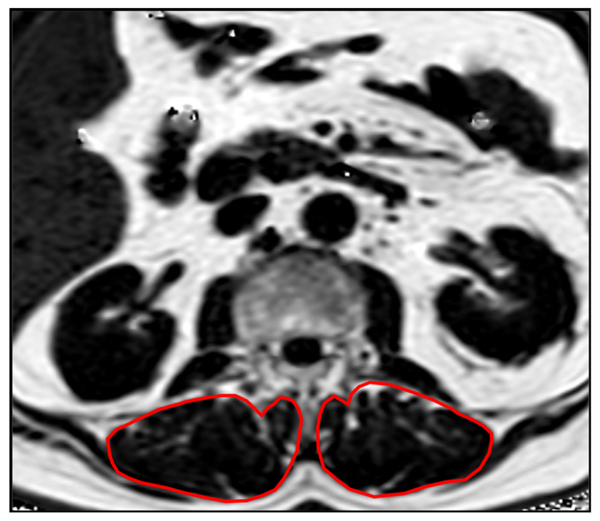 Diagnostics 12 02467 g001 Diagnostics 12 02467 g001