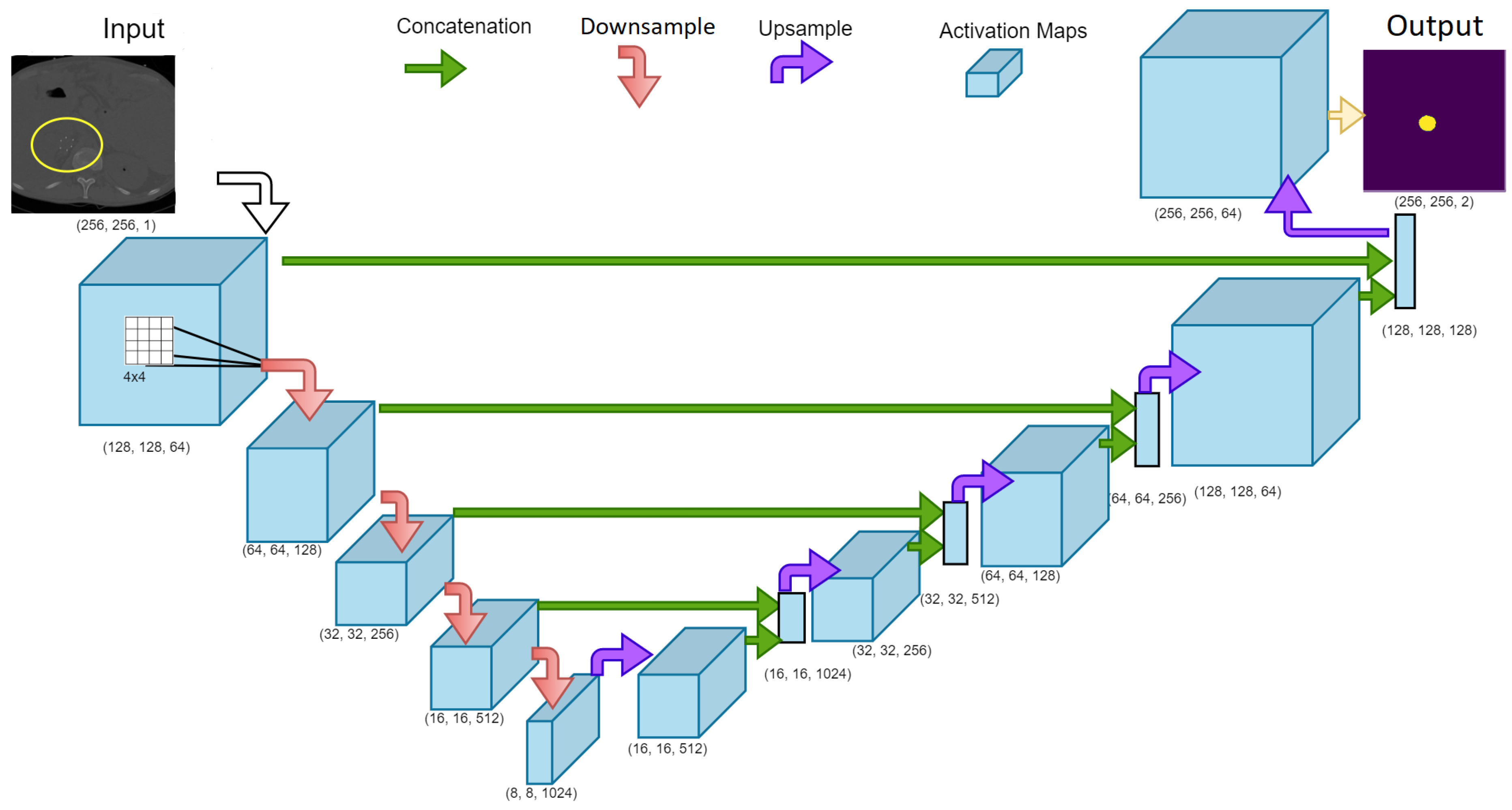 Diagnostics 12 02475 g006 Diagnostics 12 02475 g006
