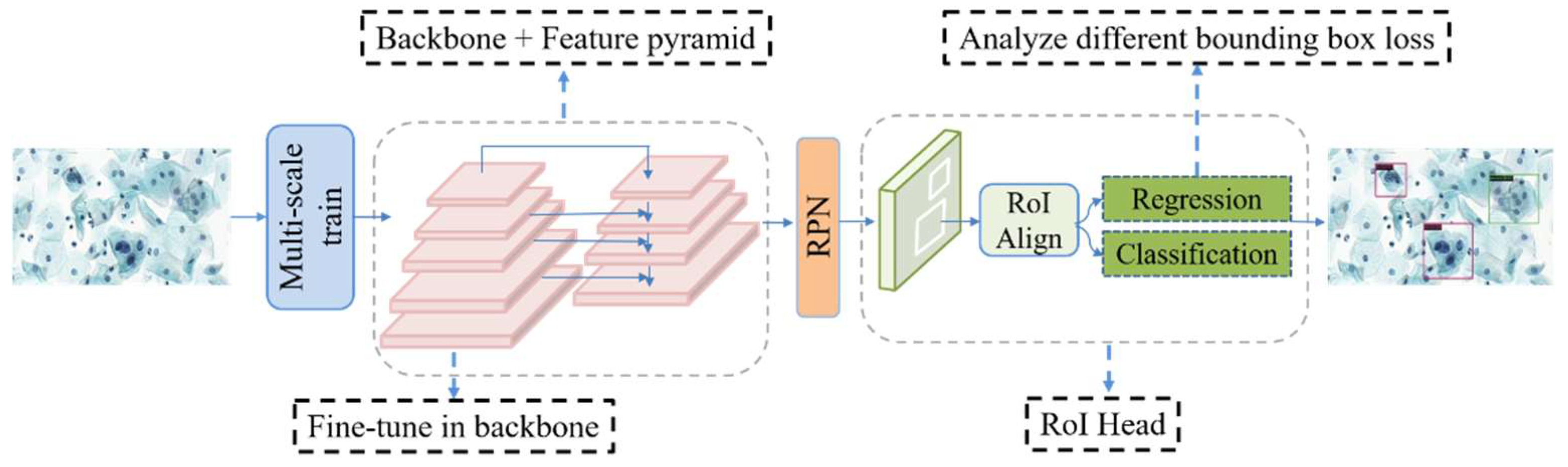 Diagnostics 12 02477 g001