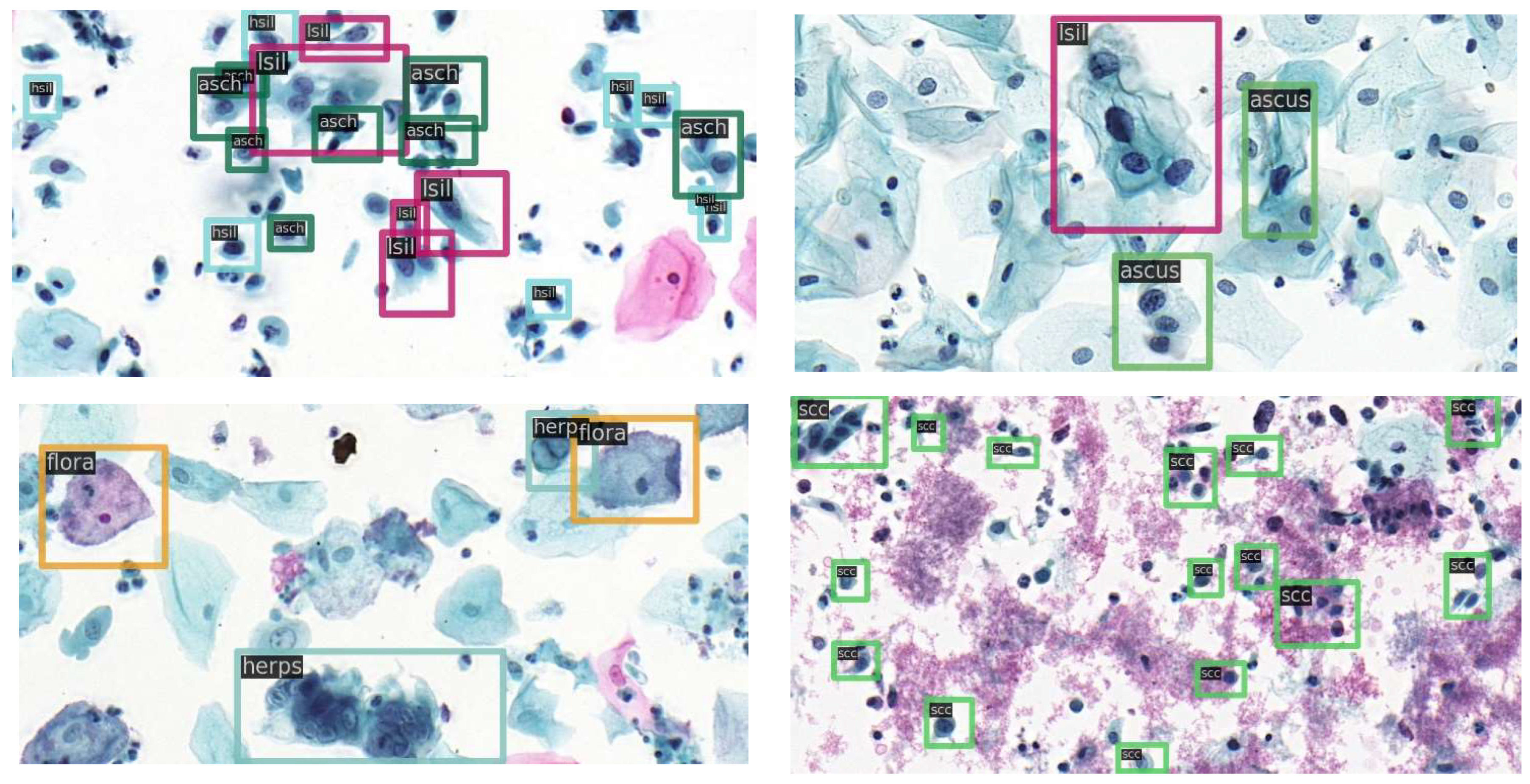 Diagnostics 12 02477 g004