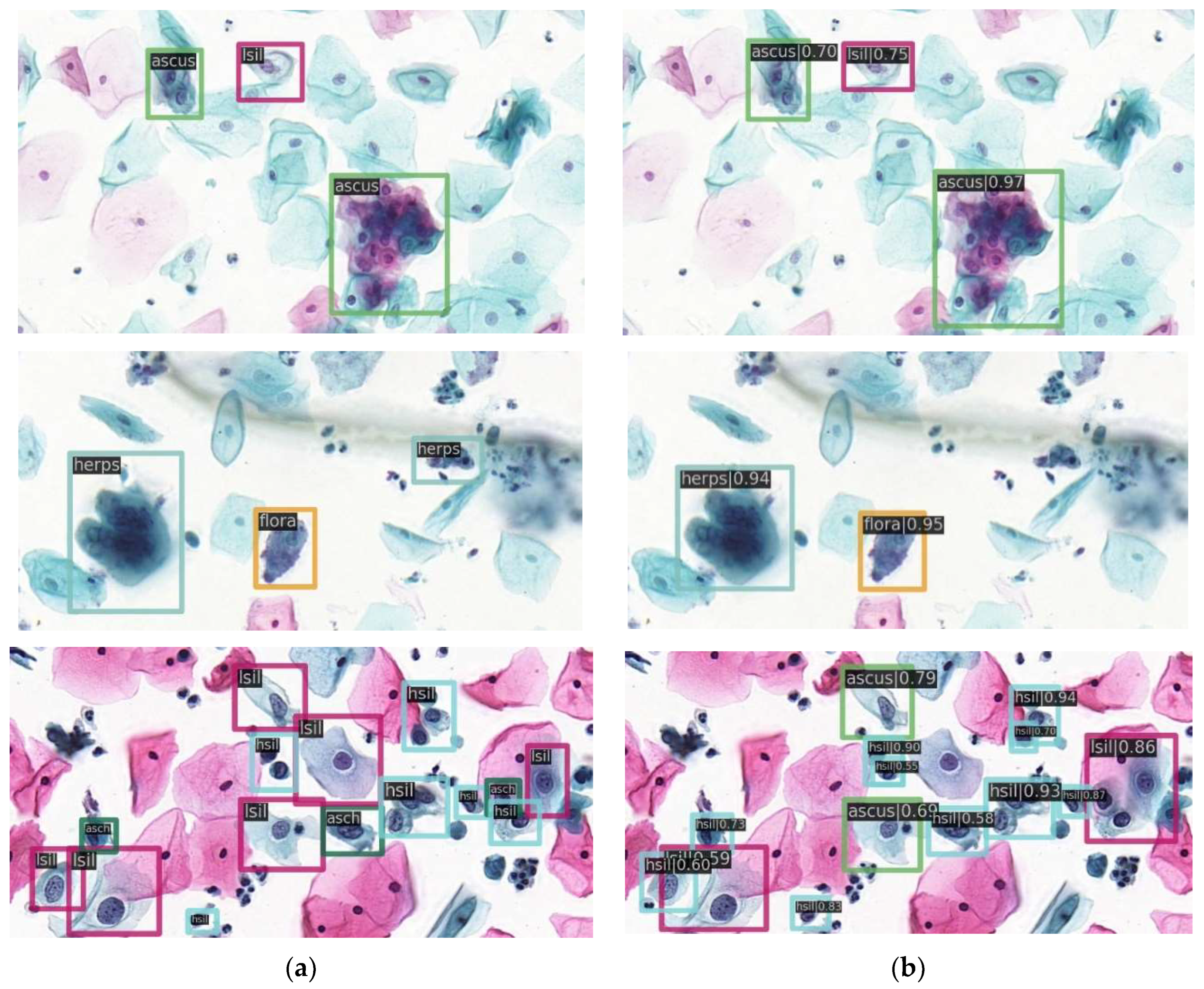 Diagnostics 12 02477 g005