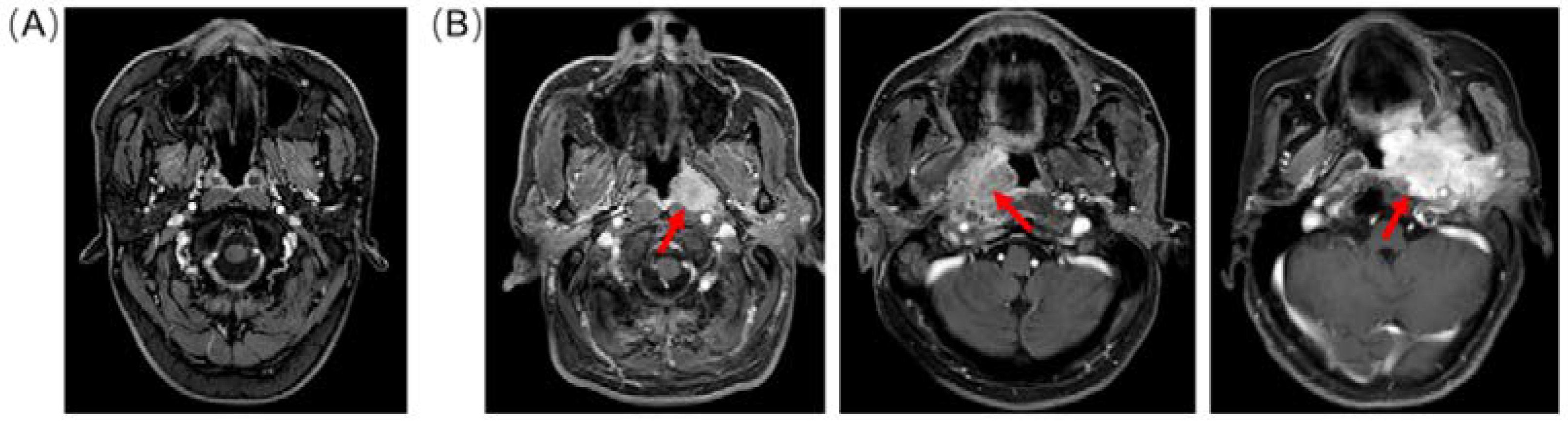 Diagnostics 12 02478 g001 Diagnostics 12 02478 g001