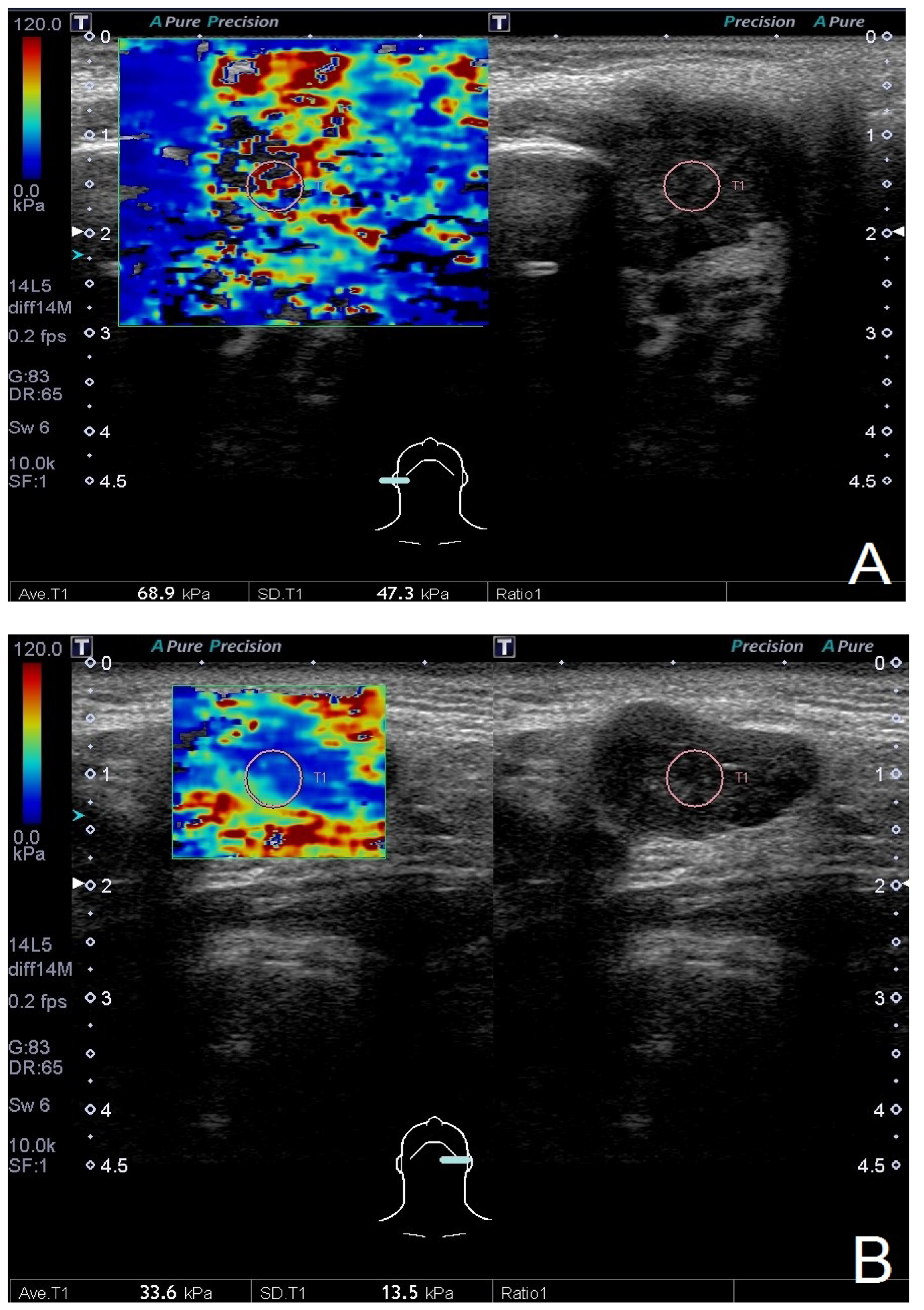 Diagnostics 12 02488 g001