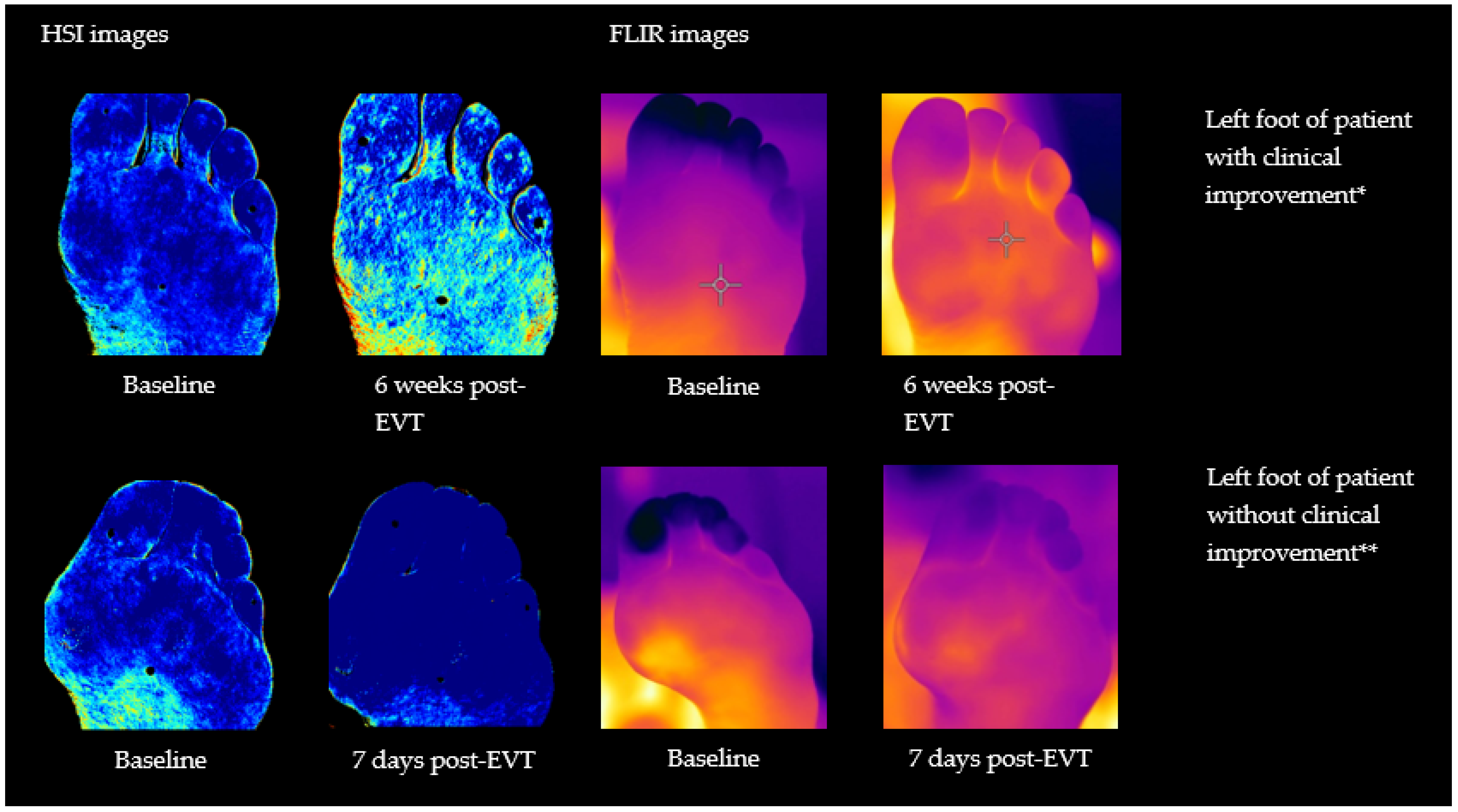 Diagnostics 12 02489 g003