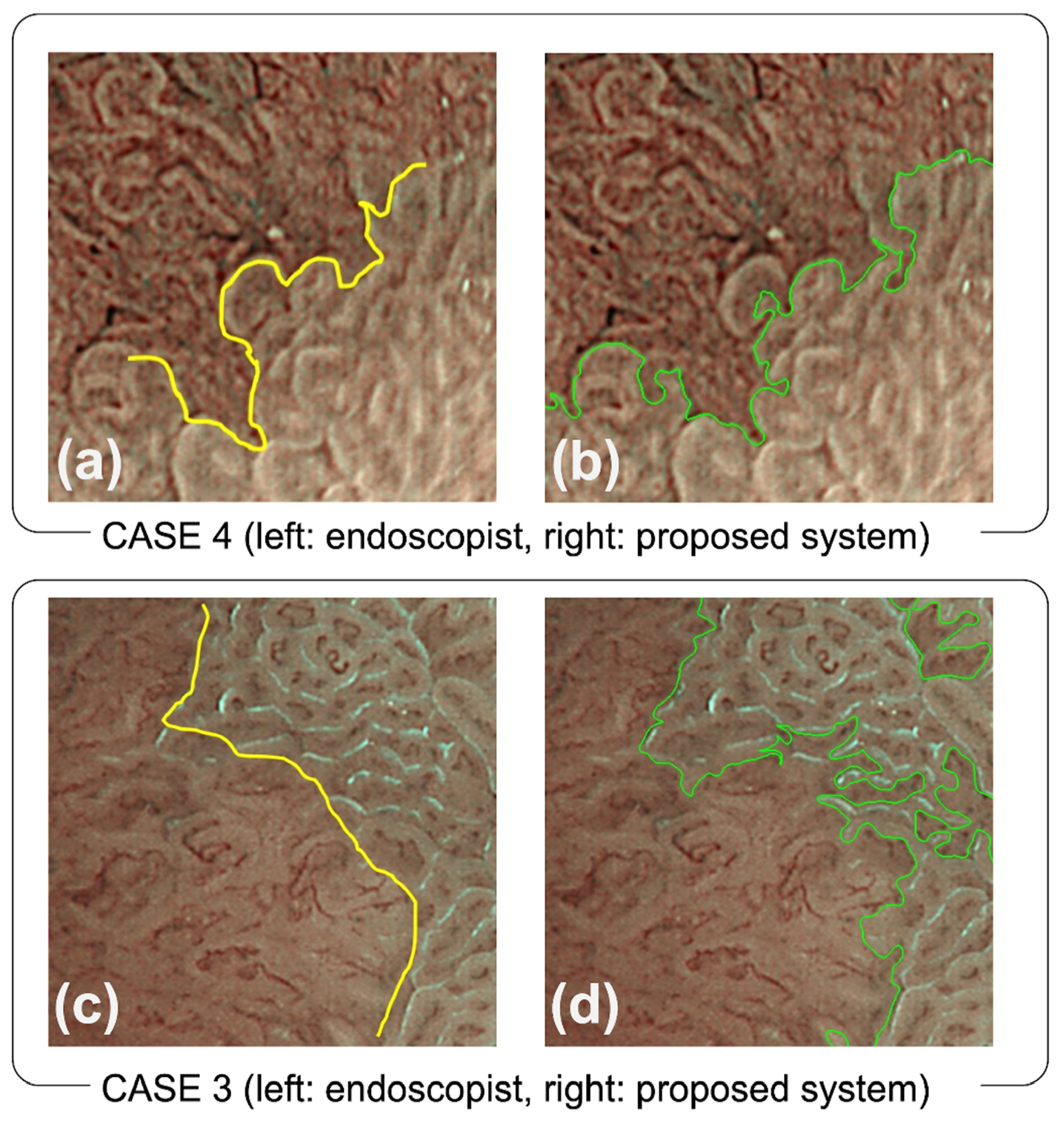 Diagnostics 12 02491 g008