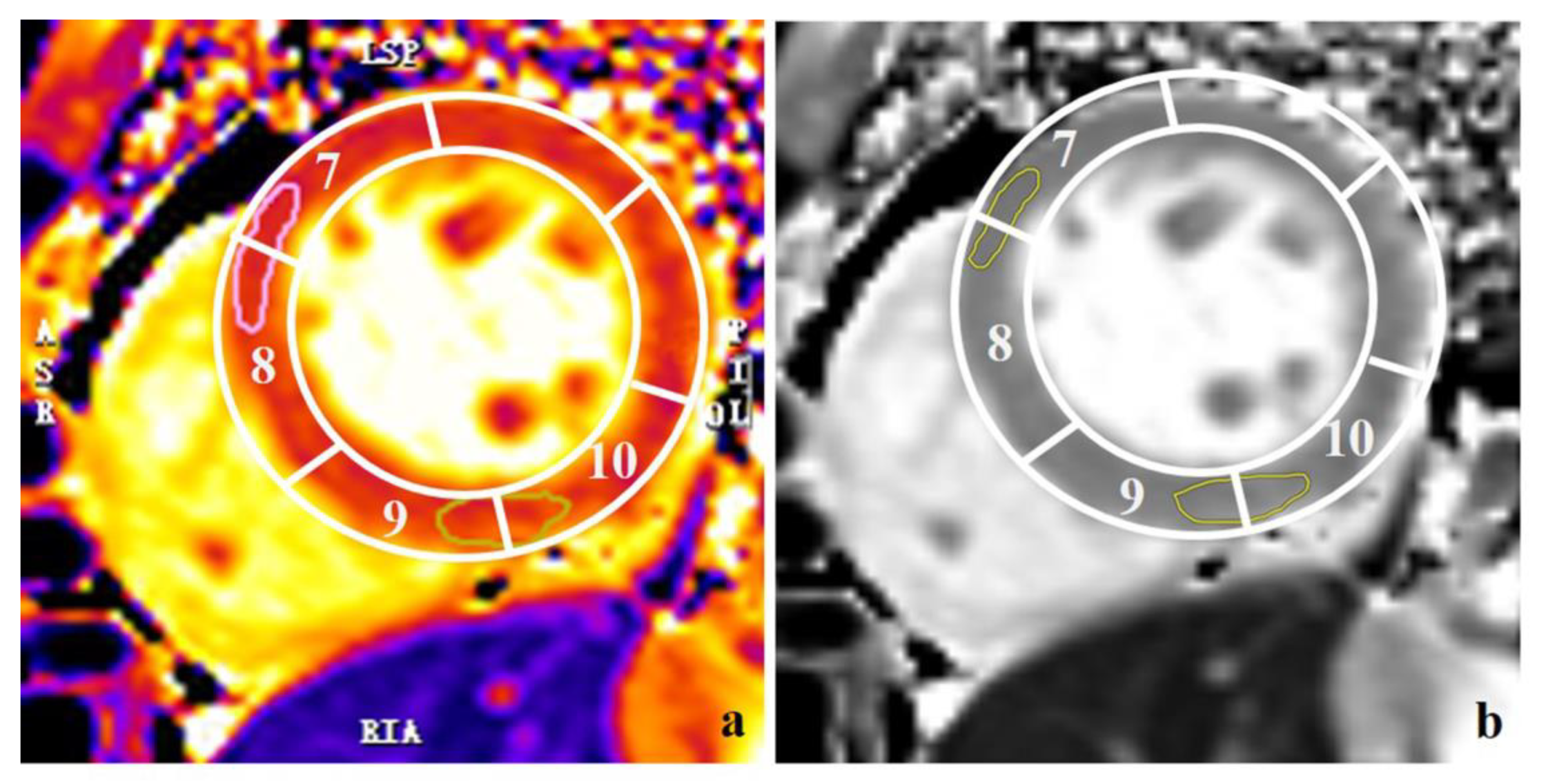 Diagnostics 12 02492 g001