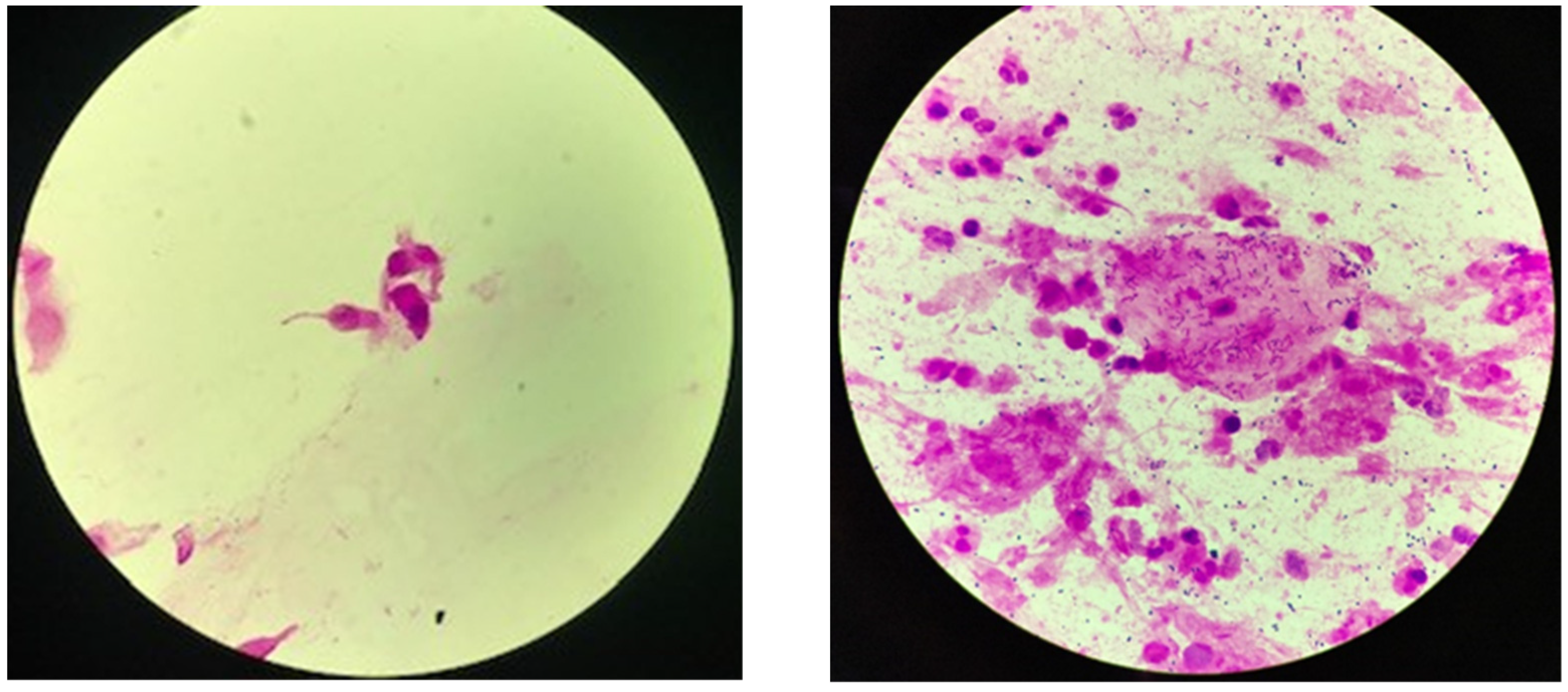 Diagnostics 12 02504 g001 Diagnostics 12 02504 g001