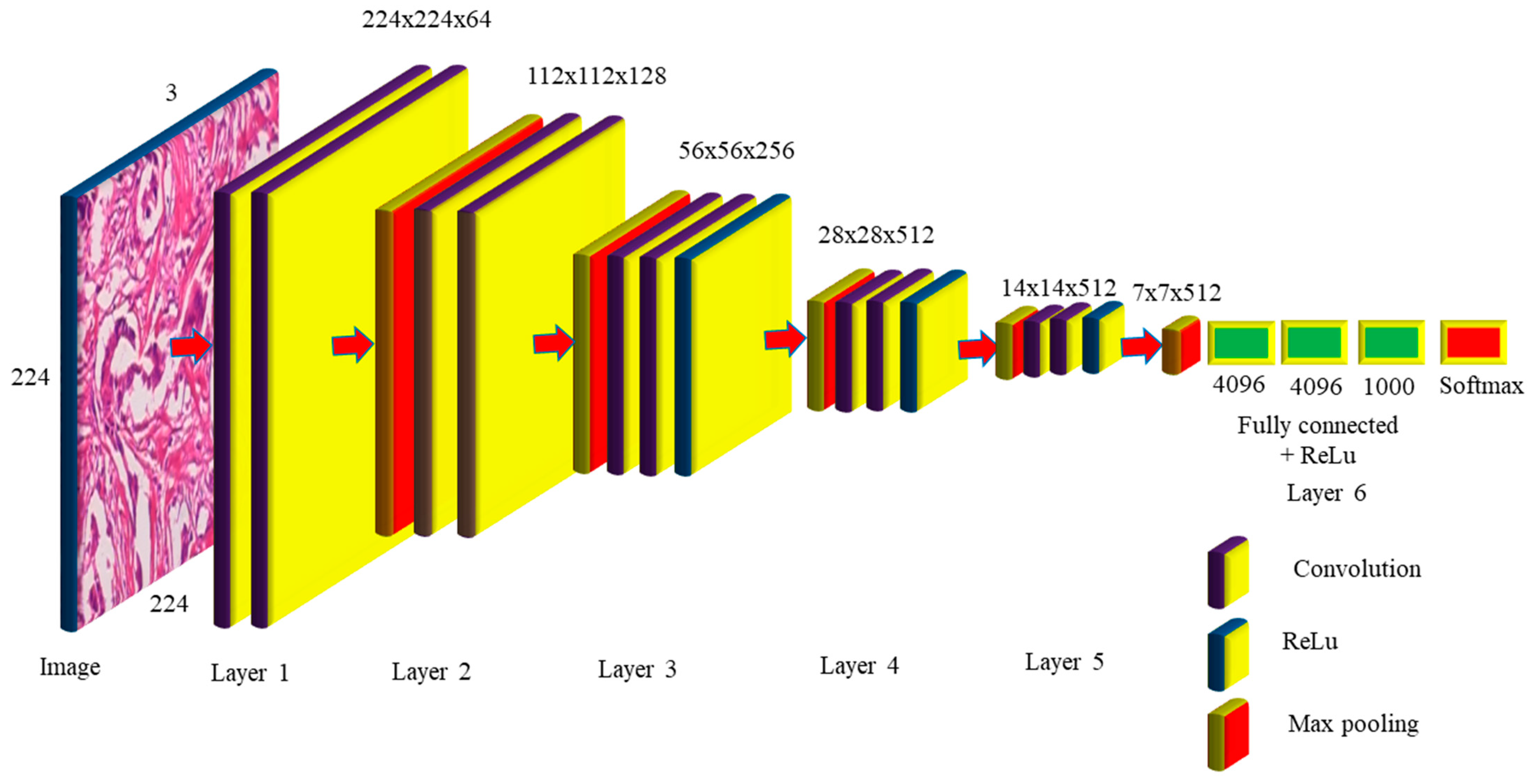 Diagnostics 12 02505 g004 Diagnostics 12 02505 g004