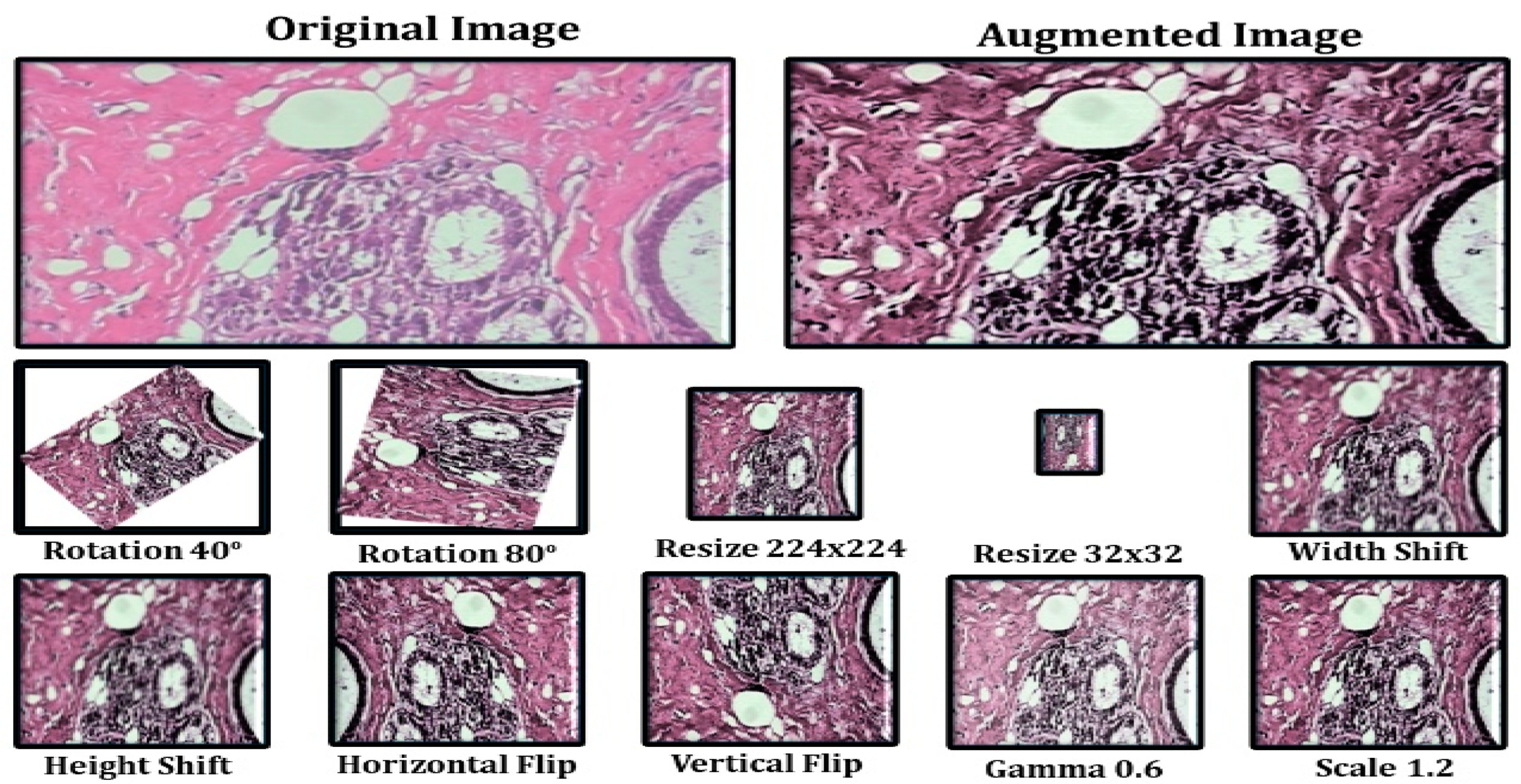 Diagnostics 12 02505 g005 Diagnostics 12 02505 g005