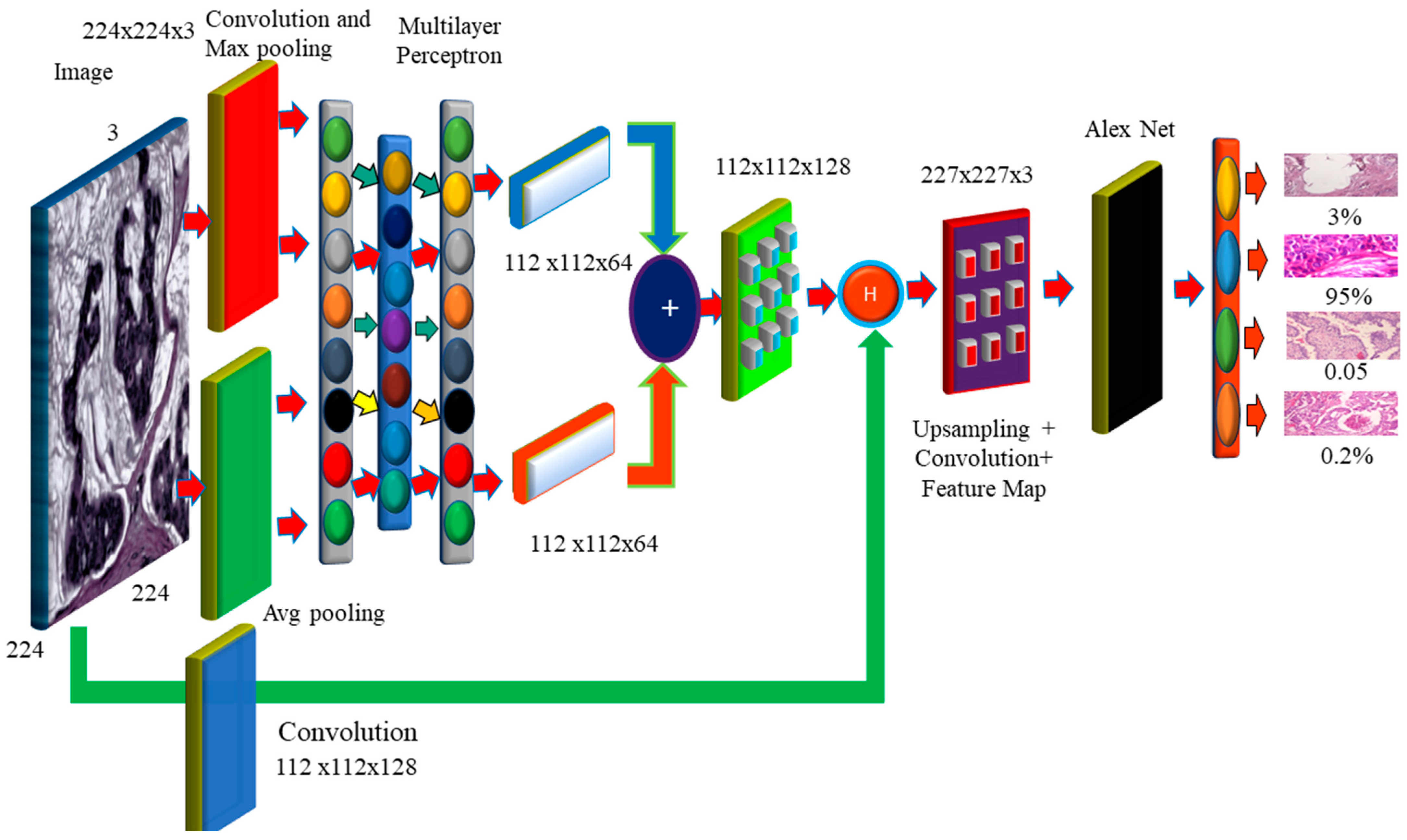Diagnostics 12 02505 g006 Diagnostics 12 02505 g006