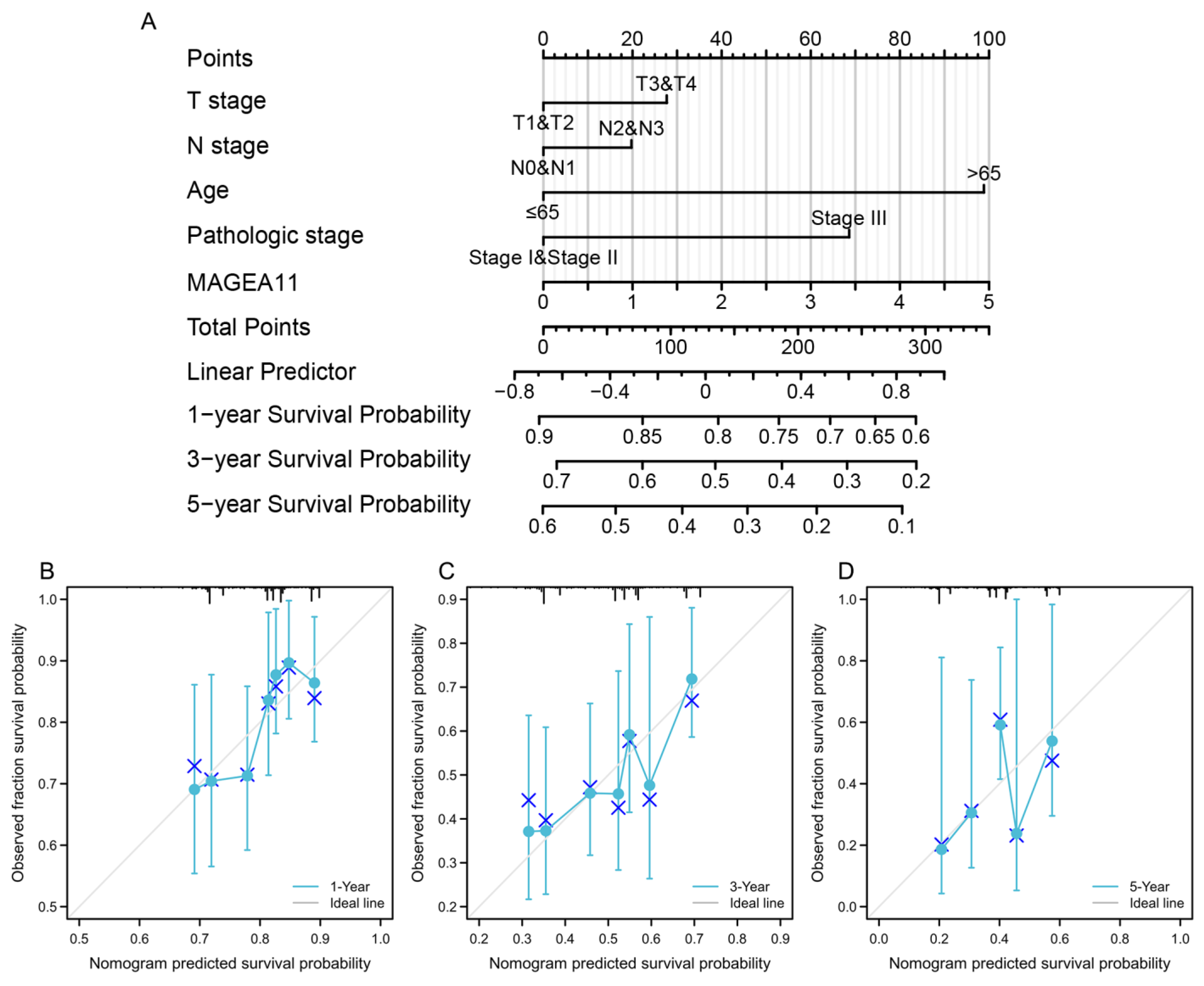 Diagnostics 12 02506 g004