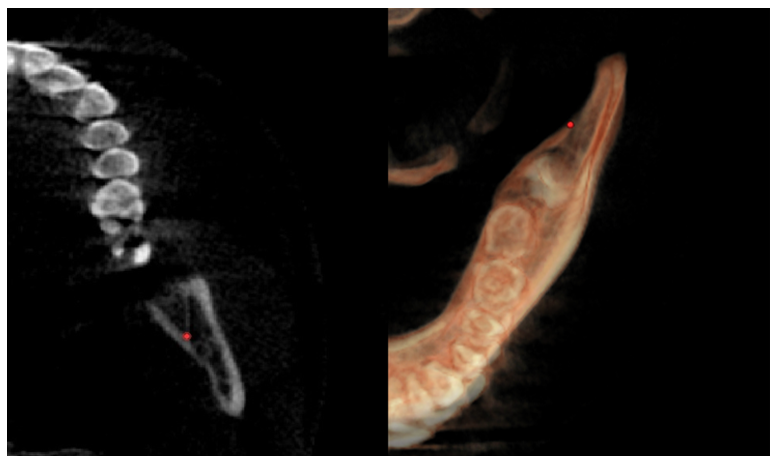 Diagnostics 12 02513 g005