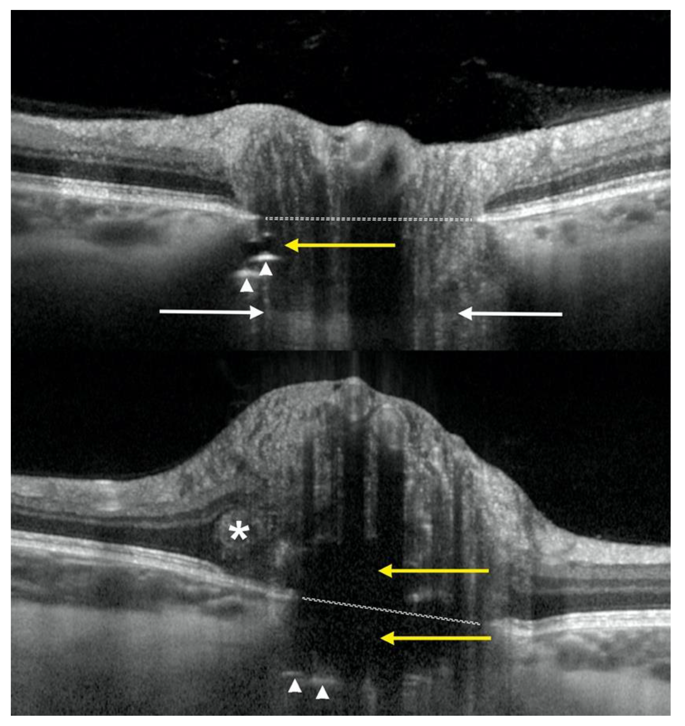 Diagnostics 12 02515 g001