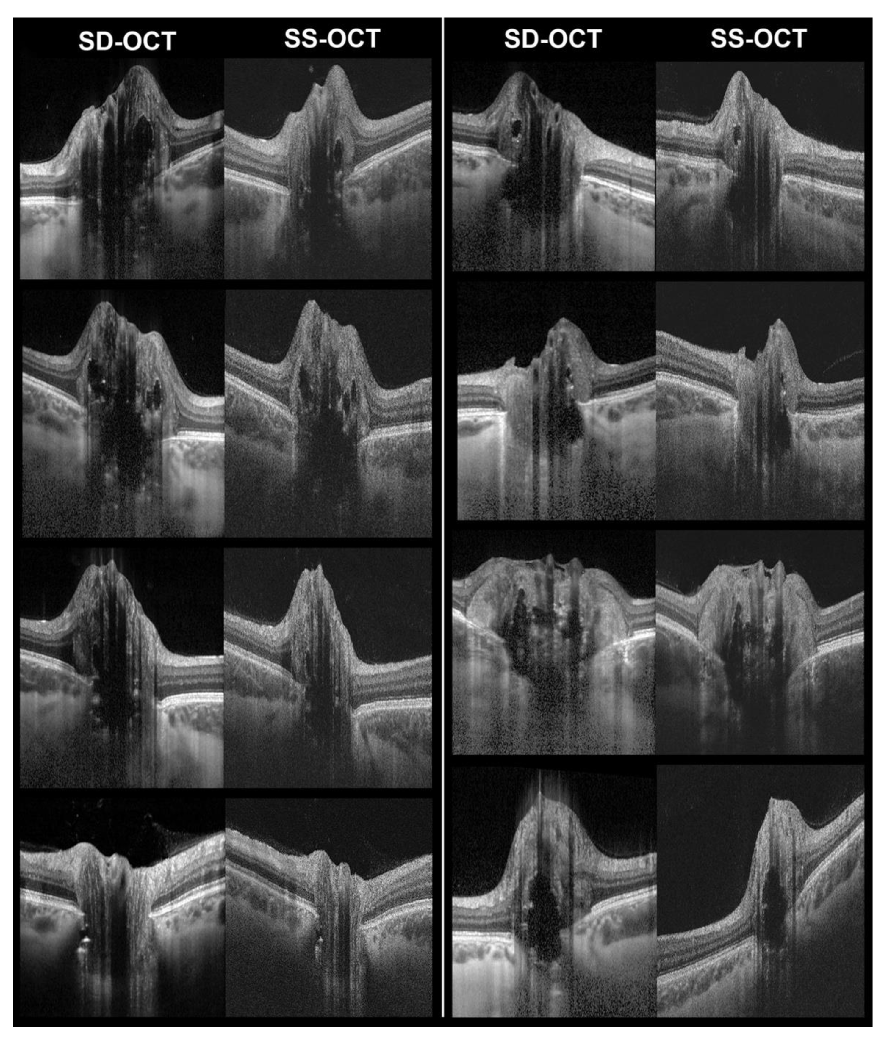 Diagnostics 12 02515 g002