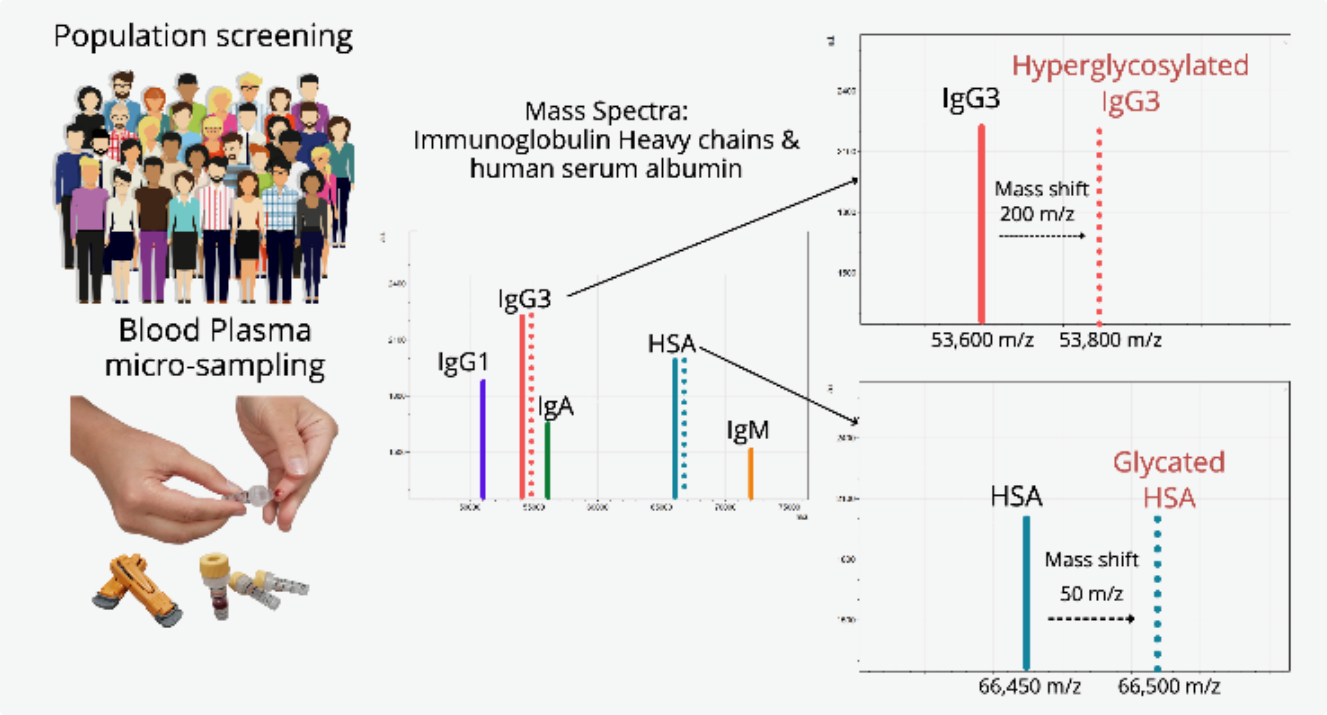 Diagnostics Free FullText Direct Detection of Glycated Human Serum Albumin and
