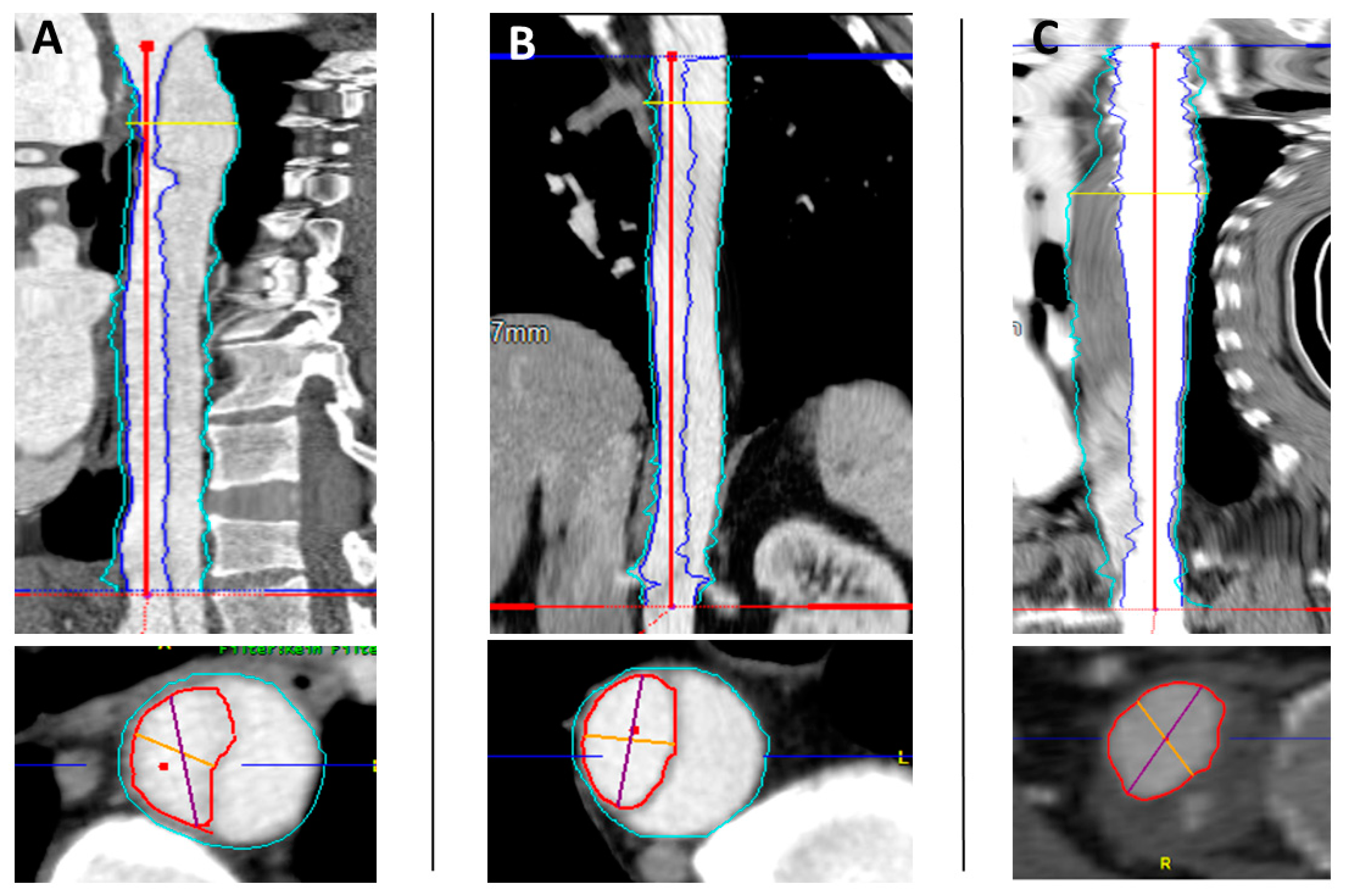 Diagnostics 12 02524 g001 Diagnostics 12 02524 g001