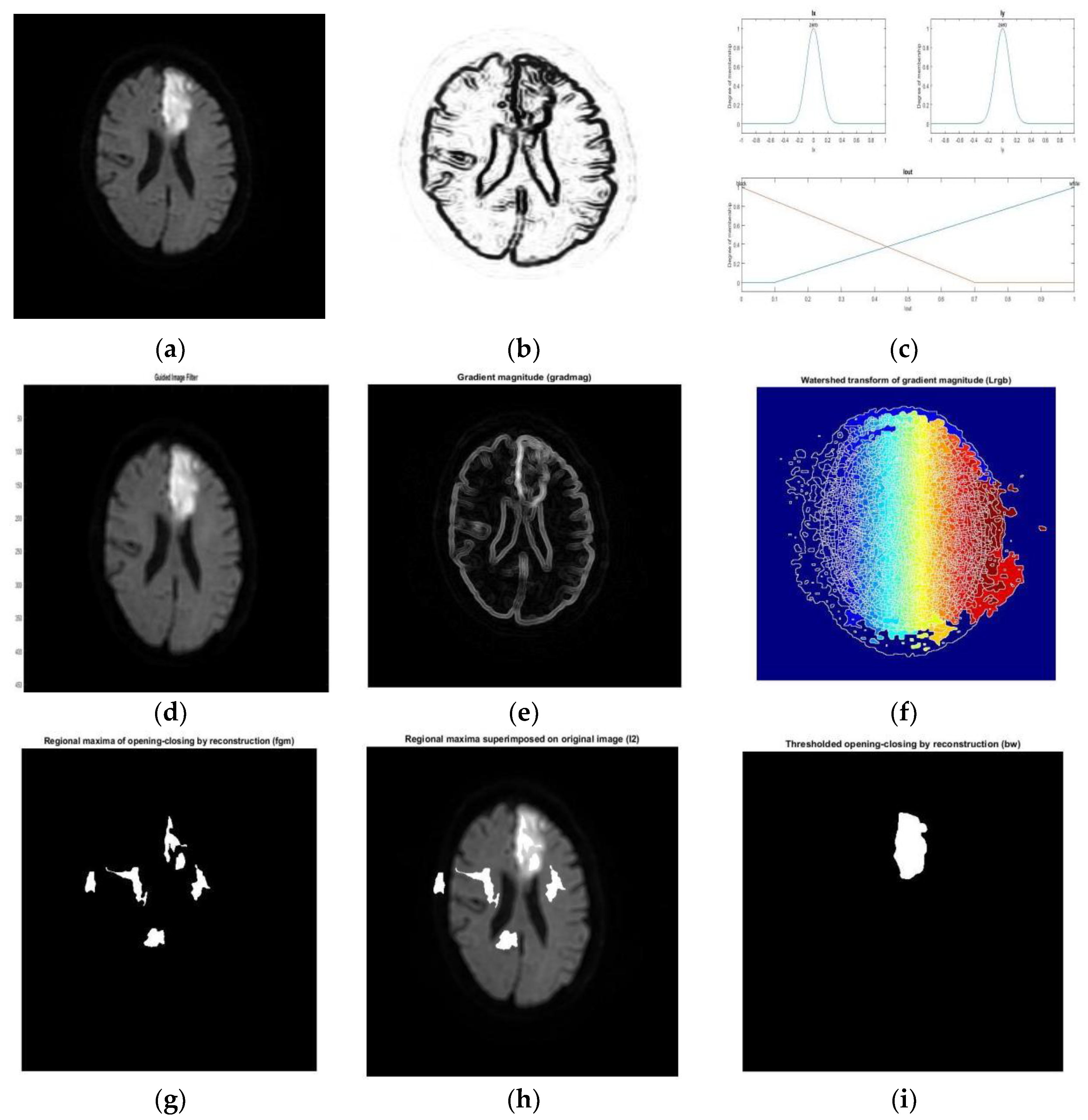 Diagnostics 12 02535 g005