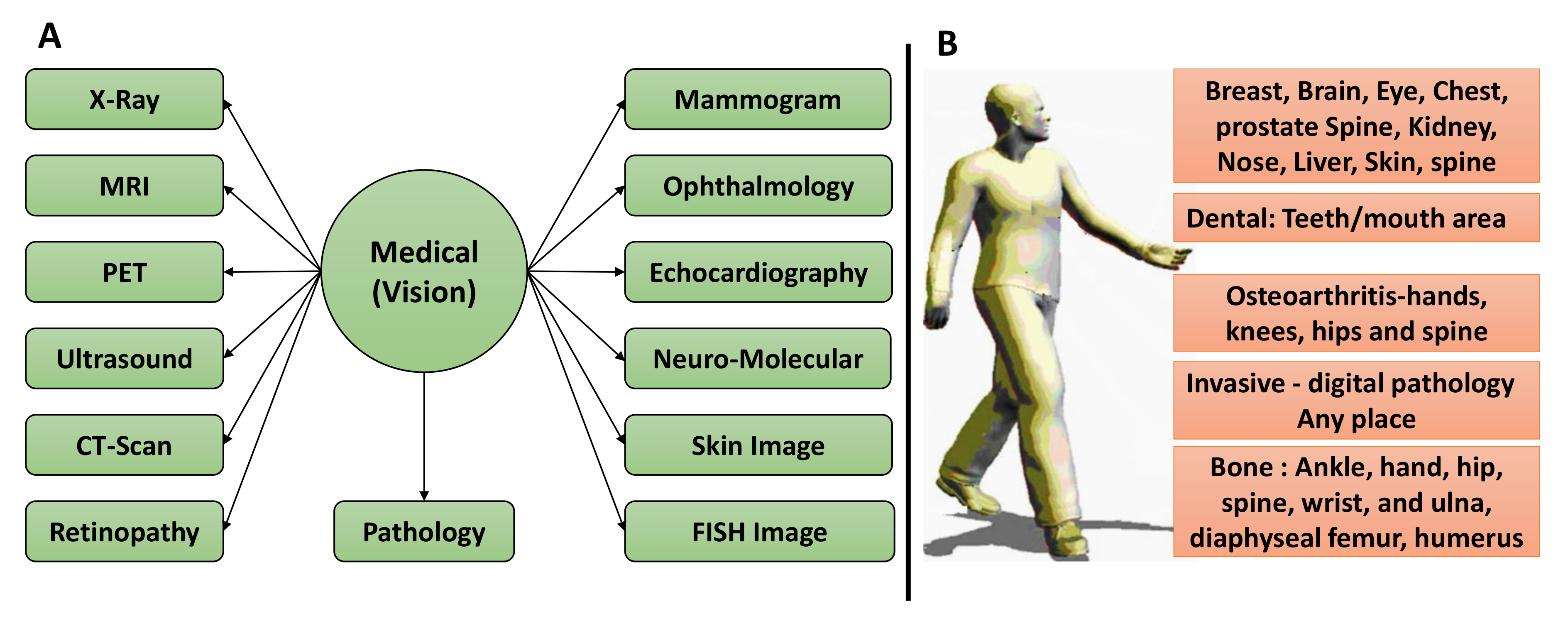 Diagnostics 12 02549 g005