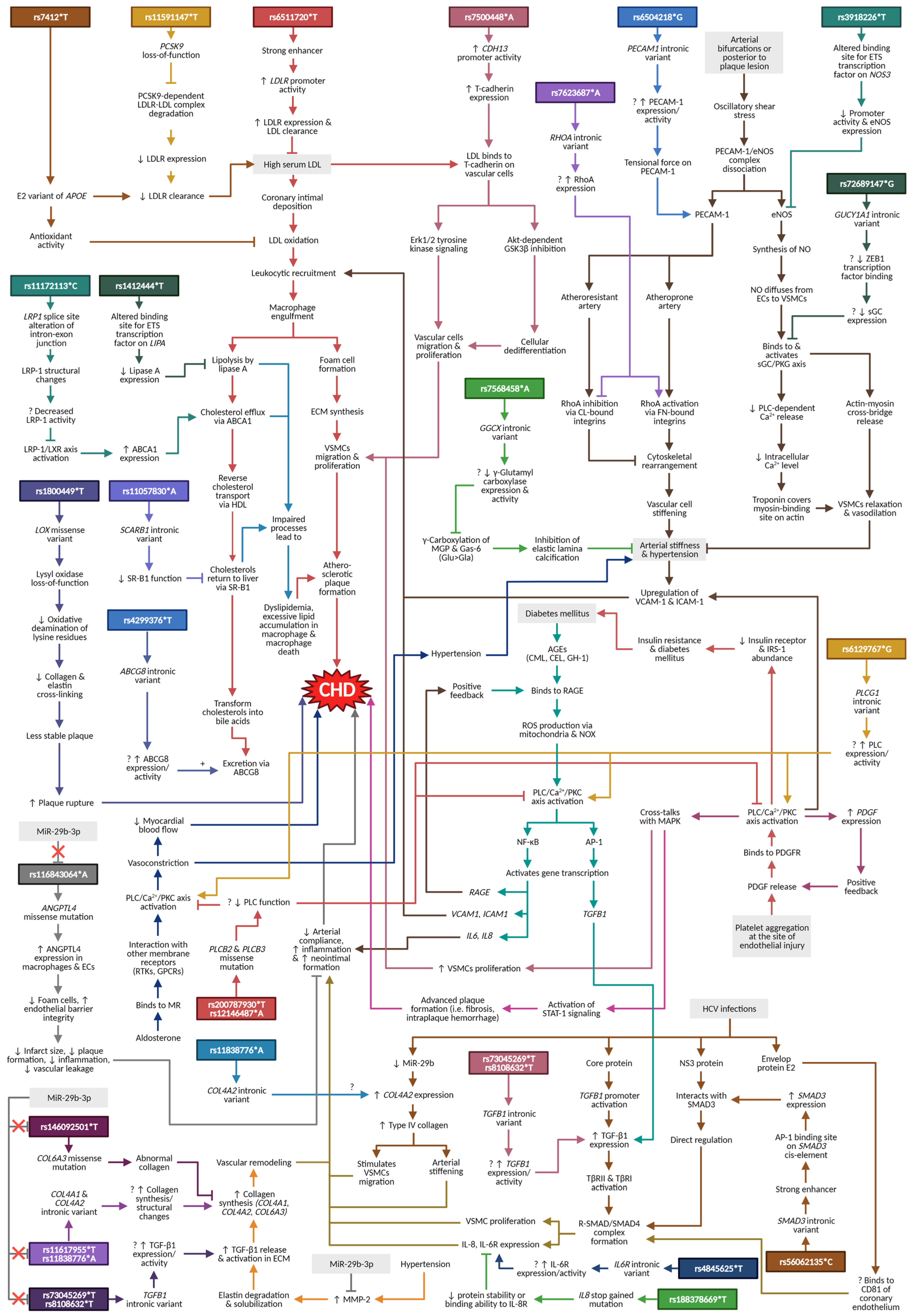 Diagnostics 12 02561 g003