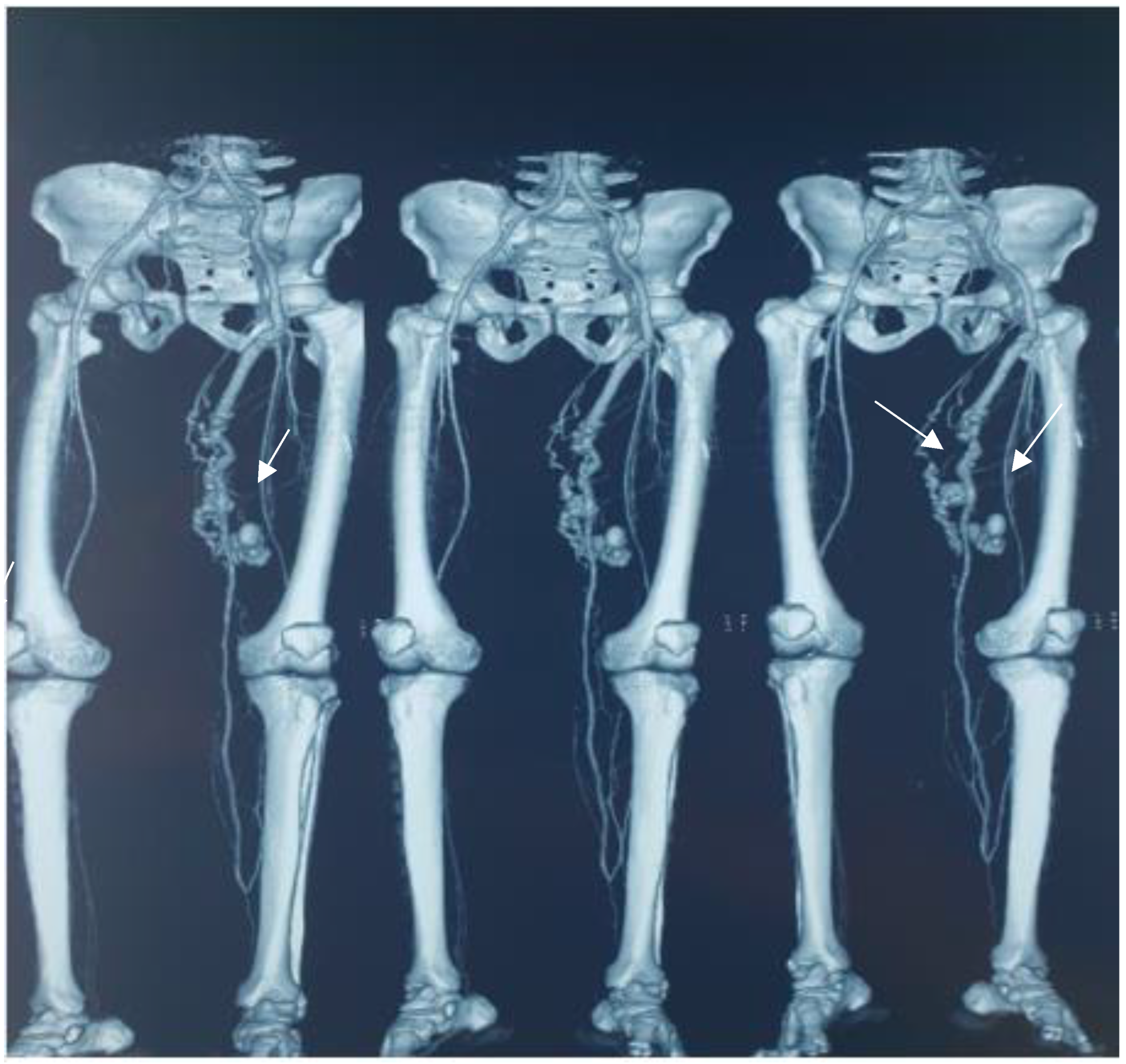 Diagnostics 12 02566 g001