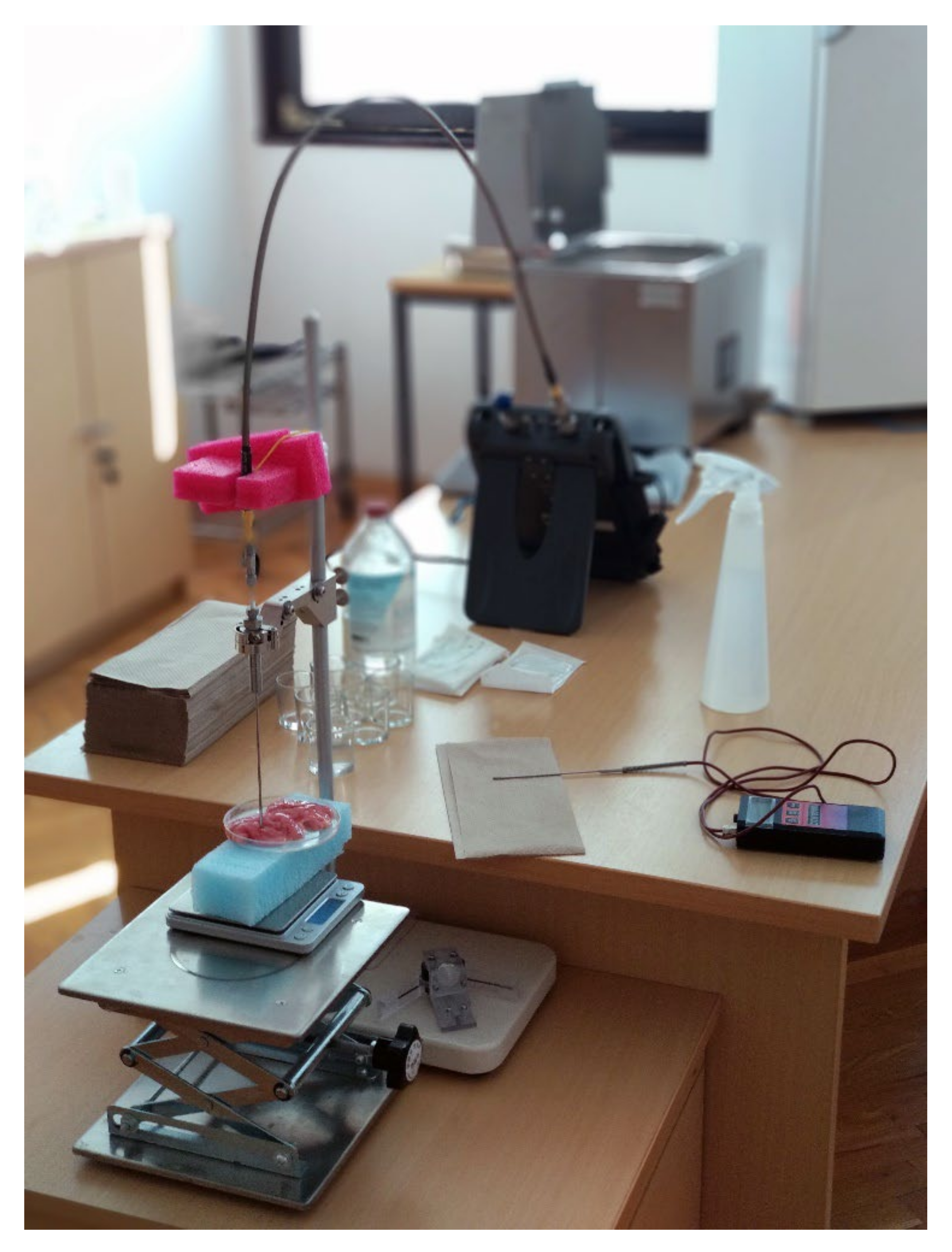 Diagnostics 12 02580 g002 Diagnostics 12 02580 g002