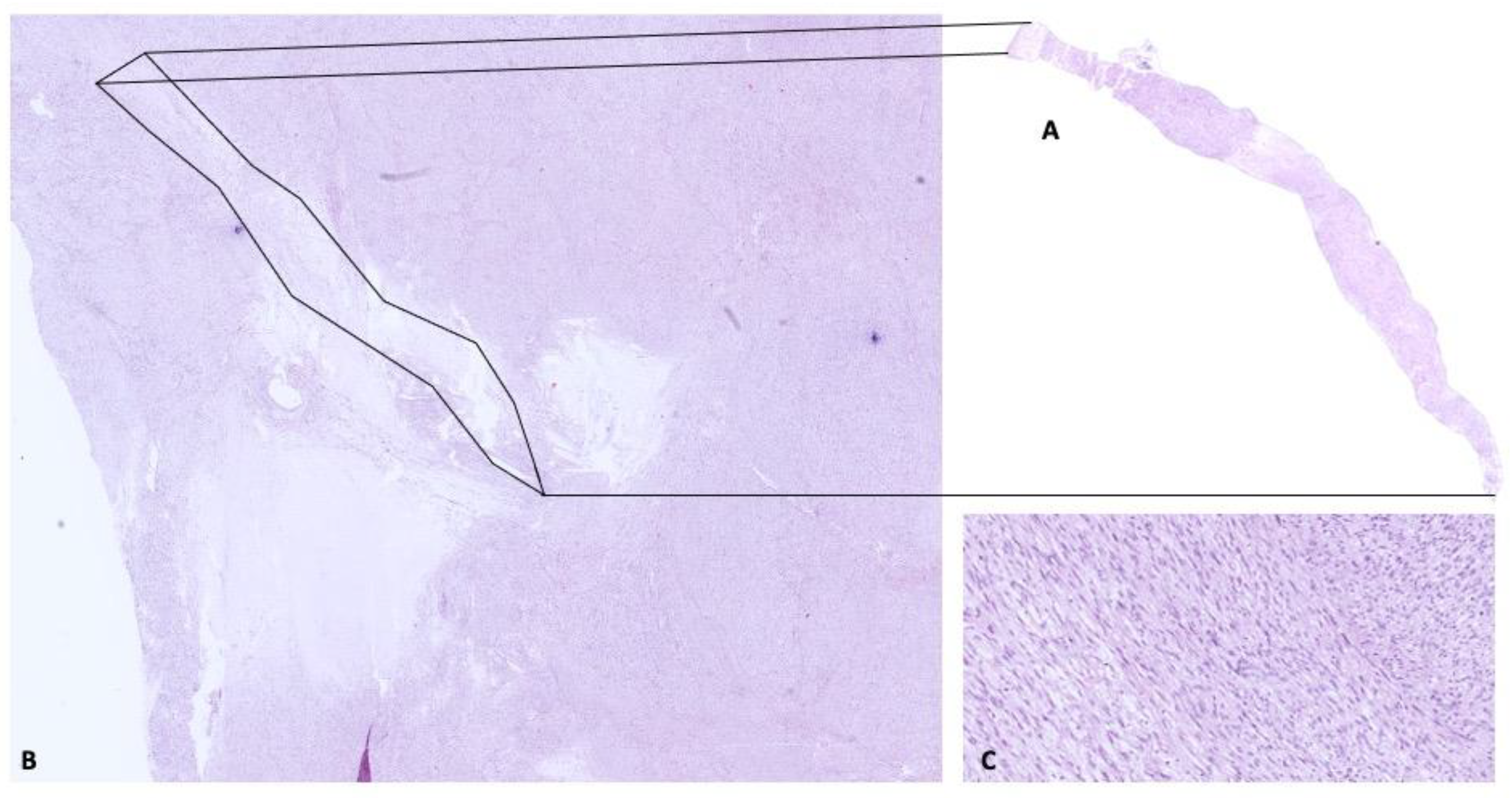 Diagnostics 12 02581 g002
