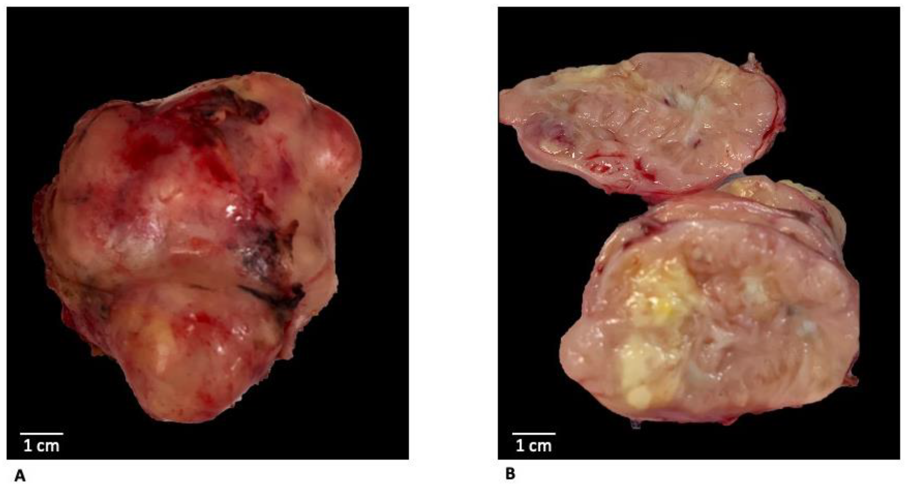 Diagnostics 12 02581 g003