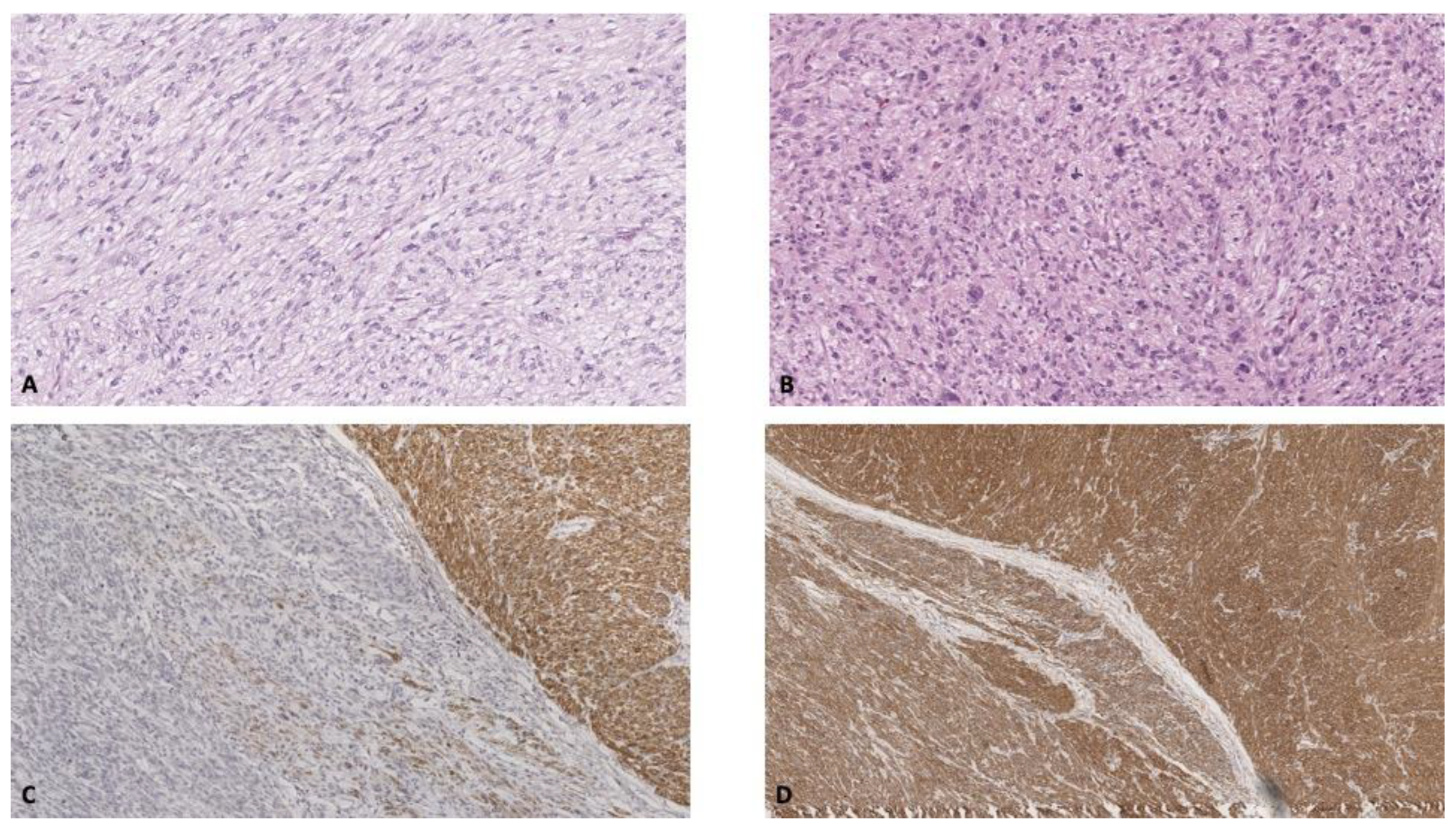 Diagnostics 12 02581 g004