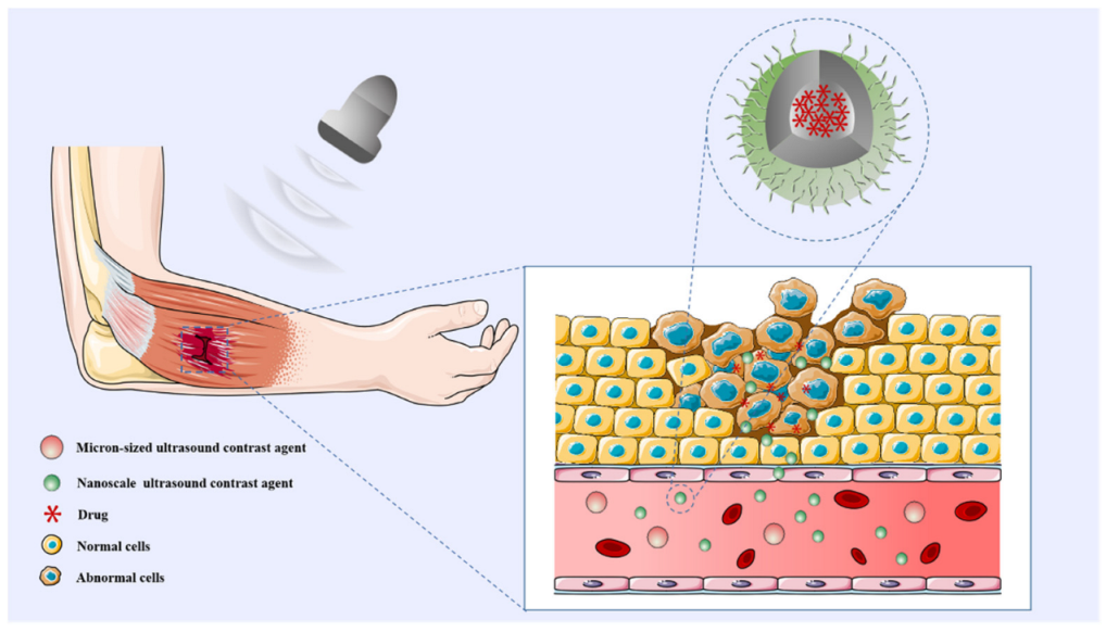 Diagnostics 12 02582 g001 Diagnostics 12 02582 g001