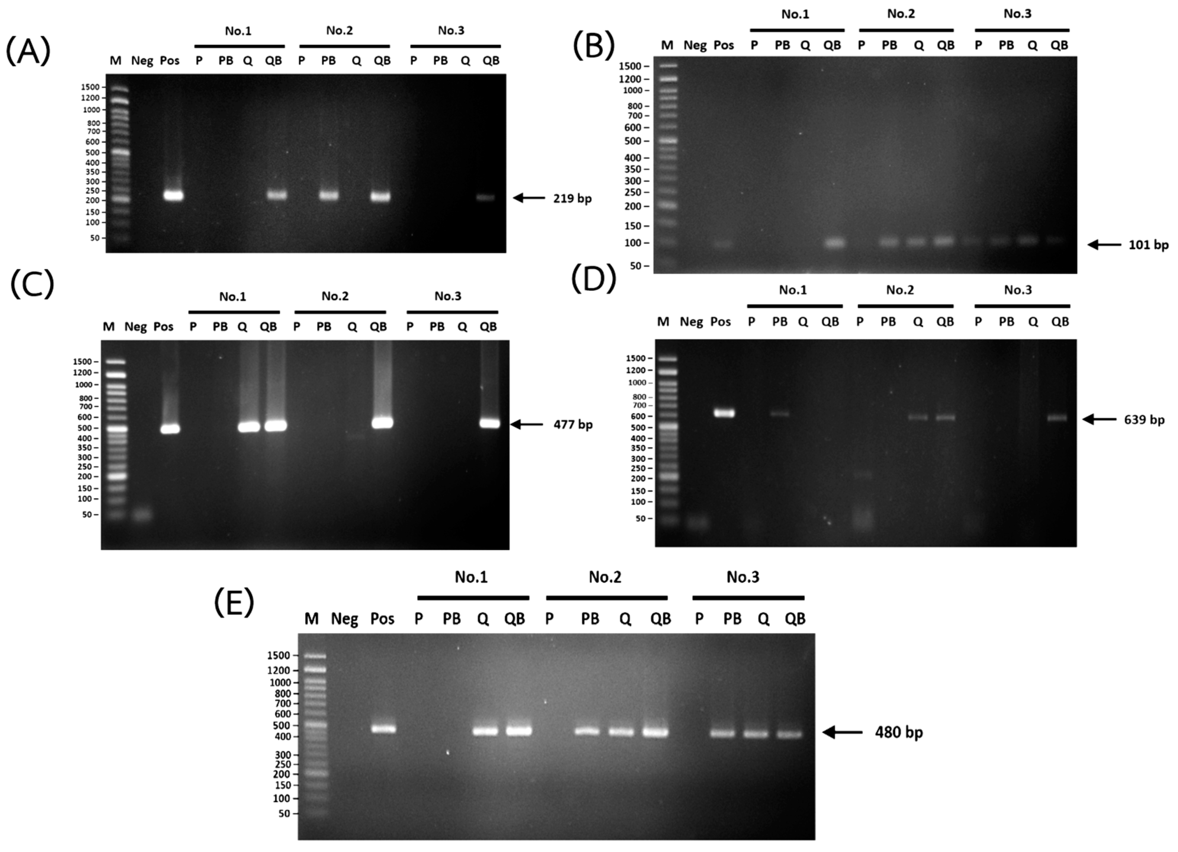 Diagnostics 12 02588 g006