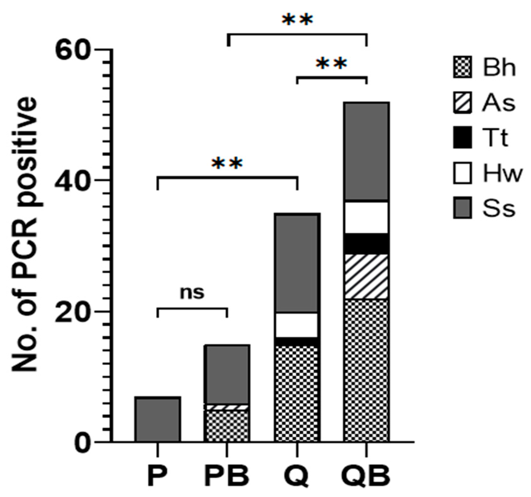 Diagnostics 12 02588 g007