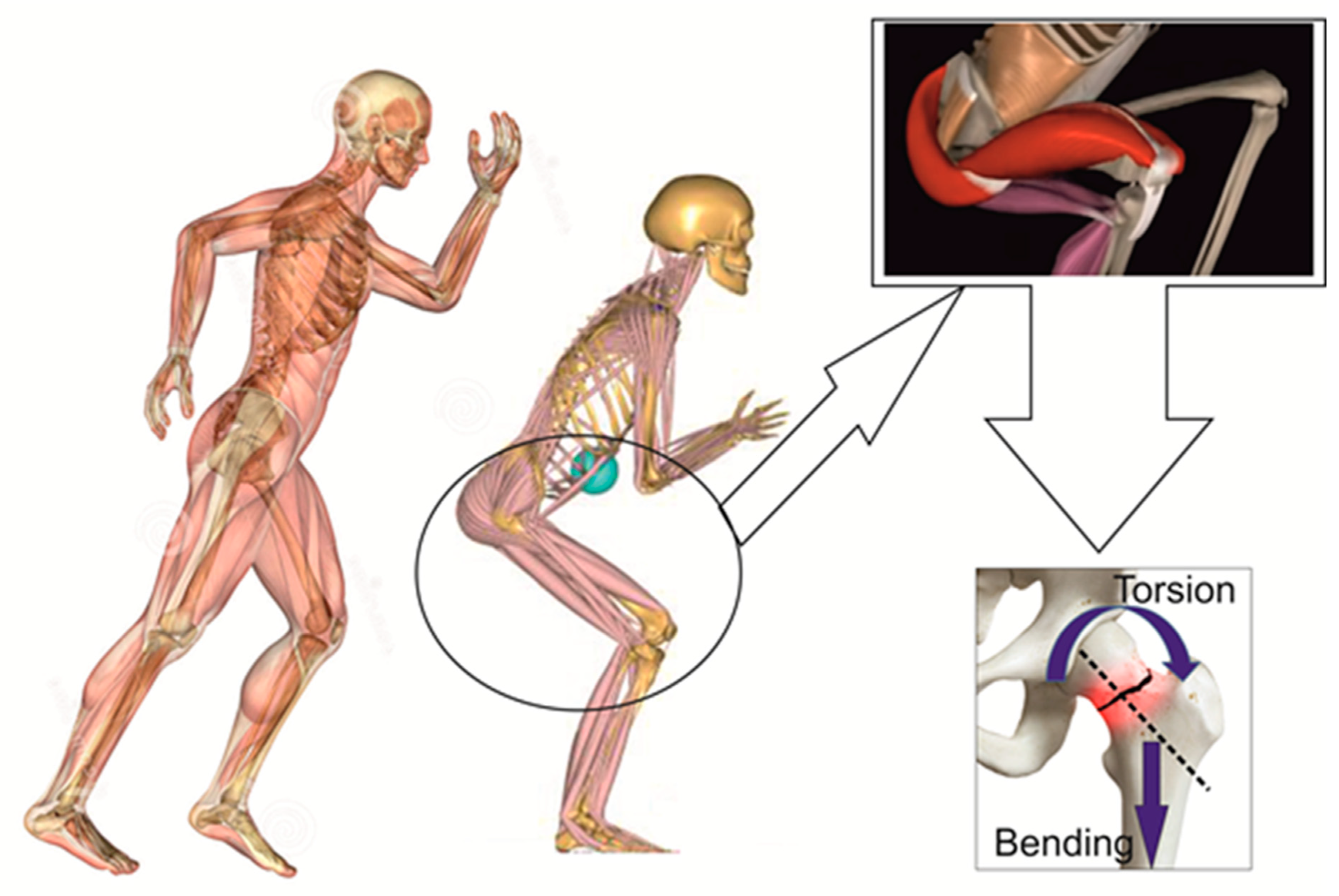 Diagnostics 12 02592 g003 Diagnostics 12 02592 g003