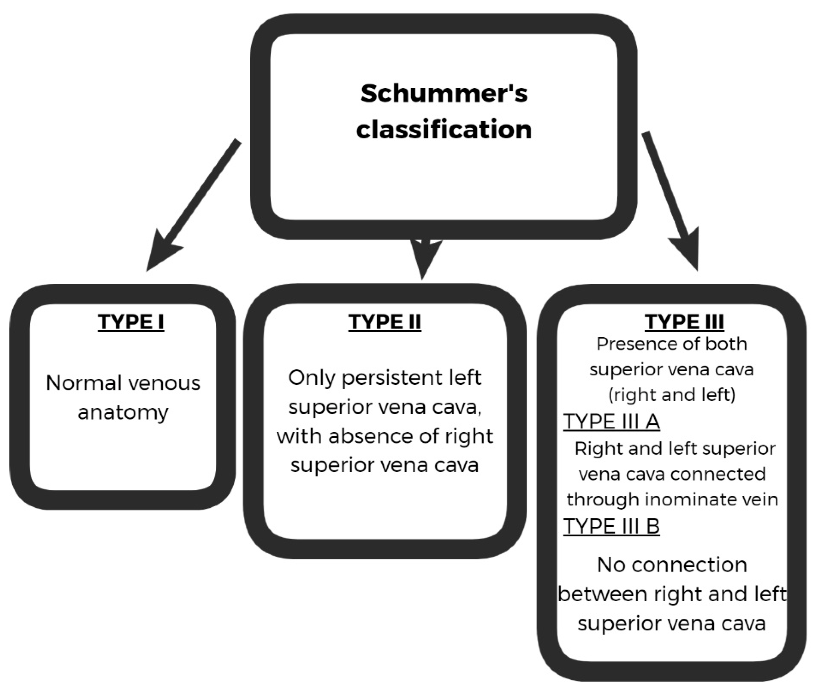 Diagnostics 12 02596 g001