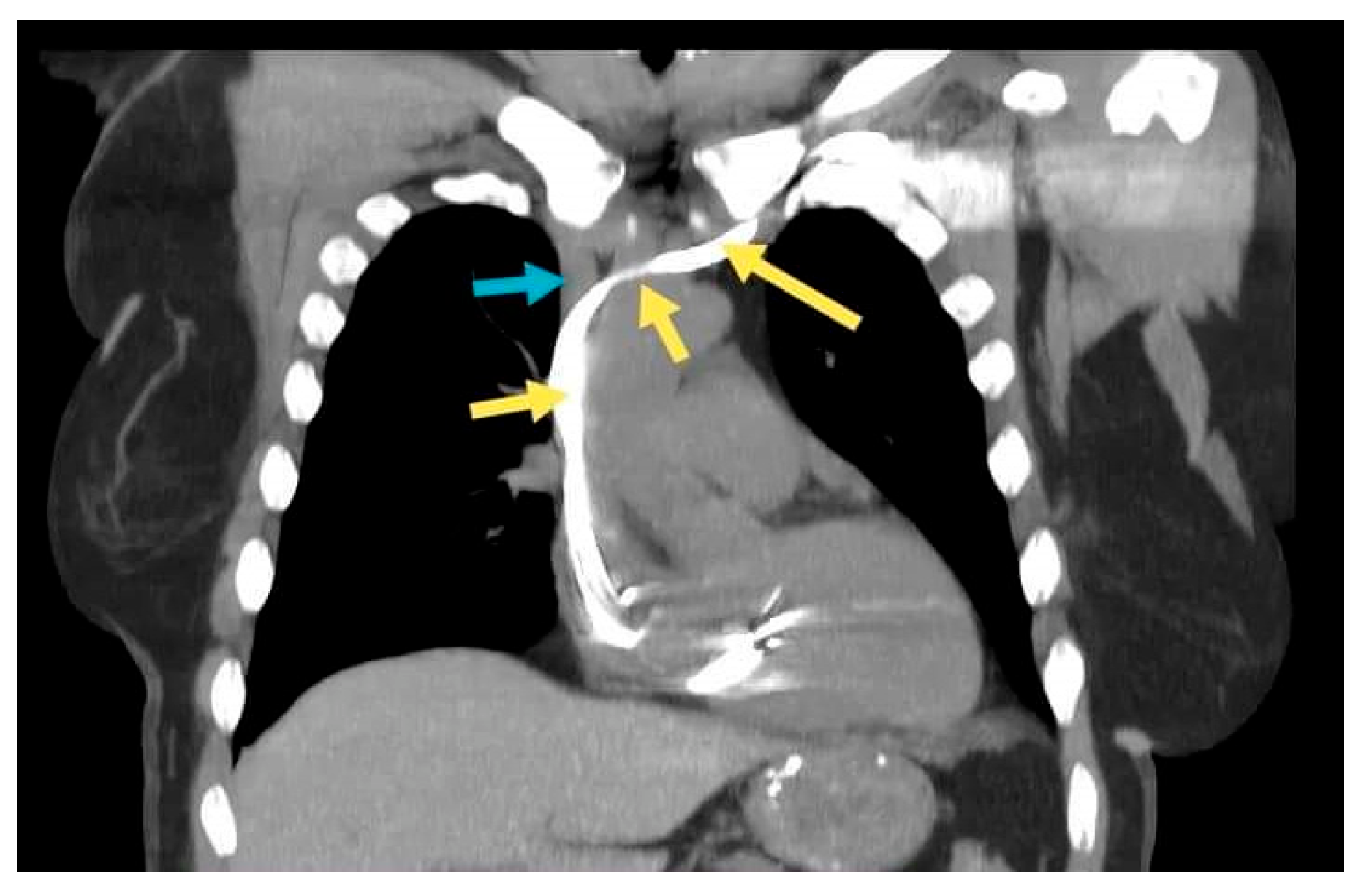 Diagnostics 12 02596 g004